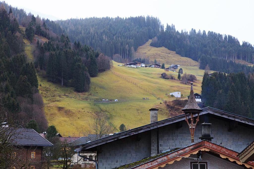 Luxury Kitzbuheler Alpen Penthouse with Sauna Hollersbach view 3