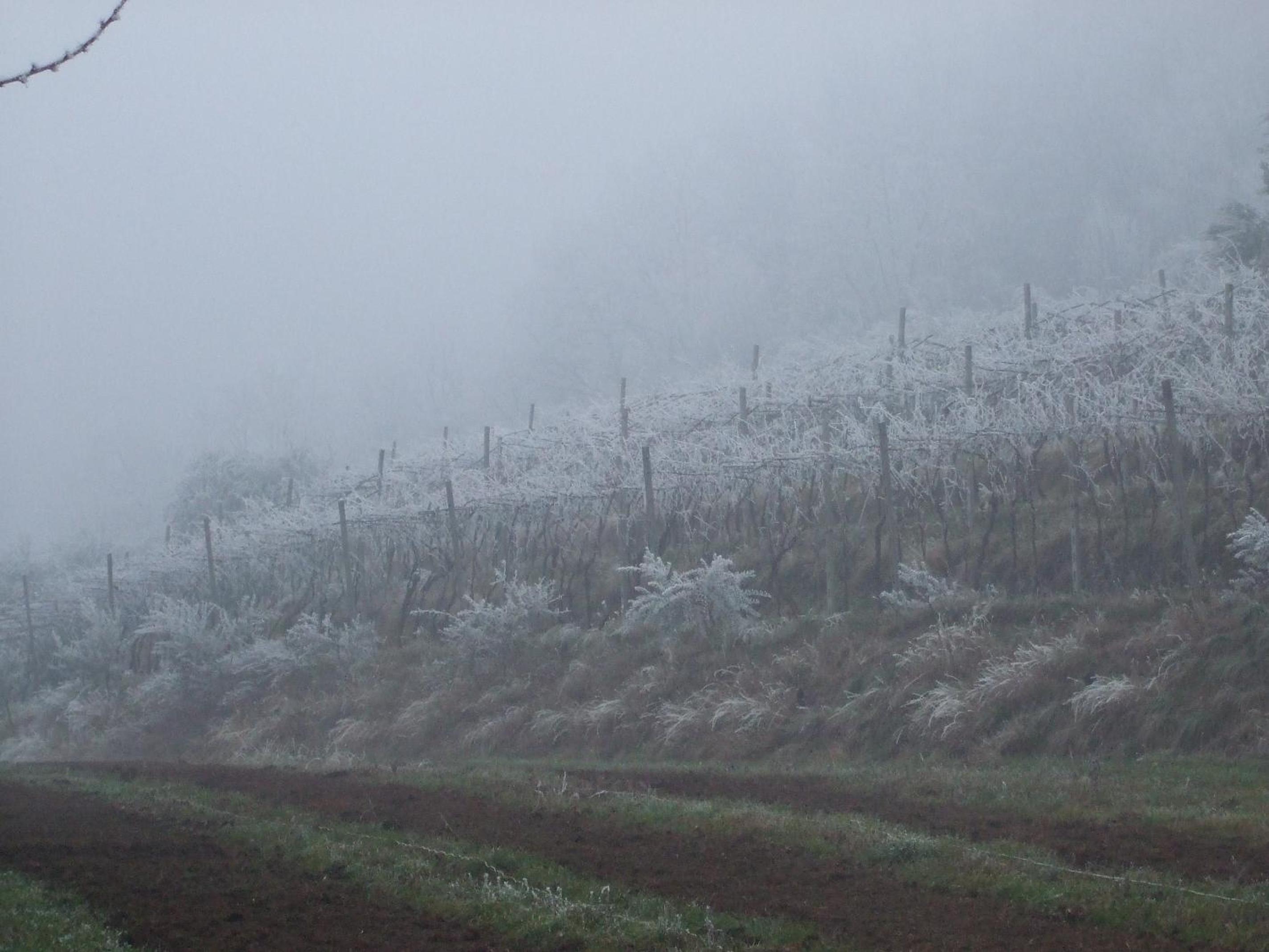 Agriturismo Cascina Rossano, photo 77