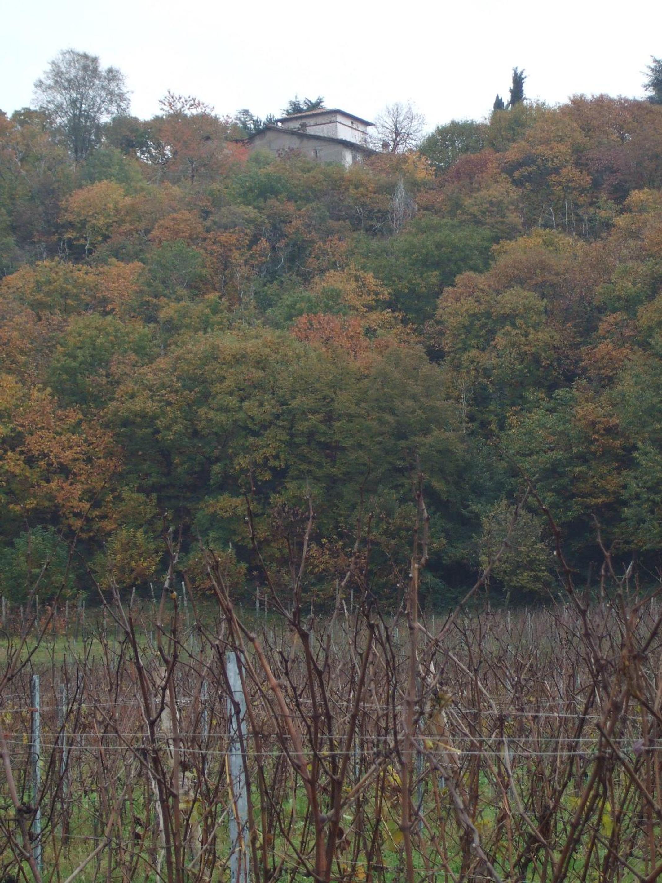 Agriturismo Cascina Rossano, photo 7