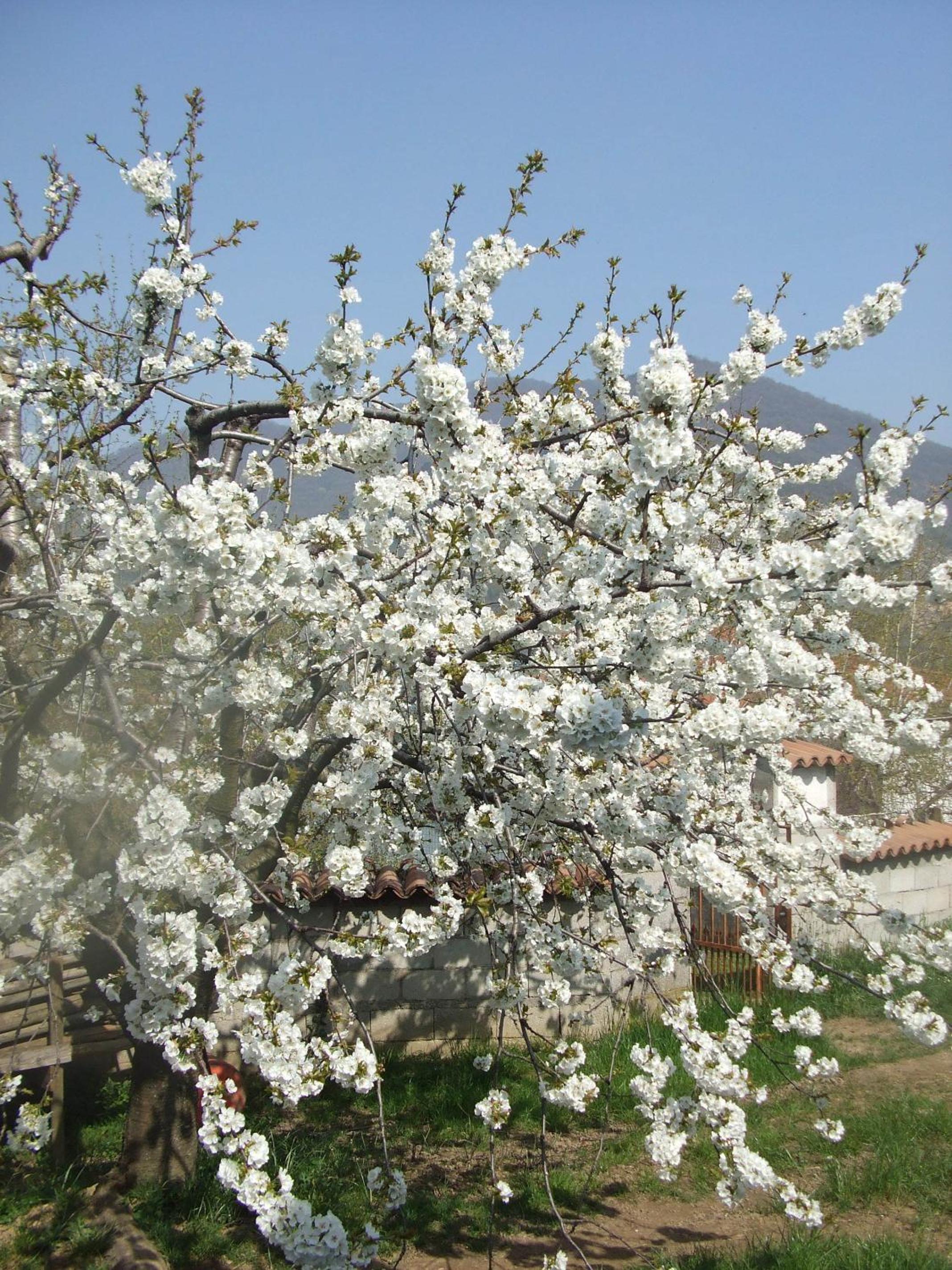 Agriturismo Cascina Rossano, photo 22