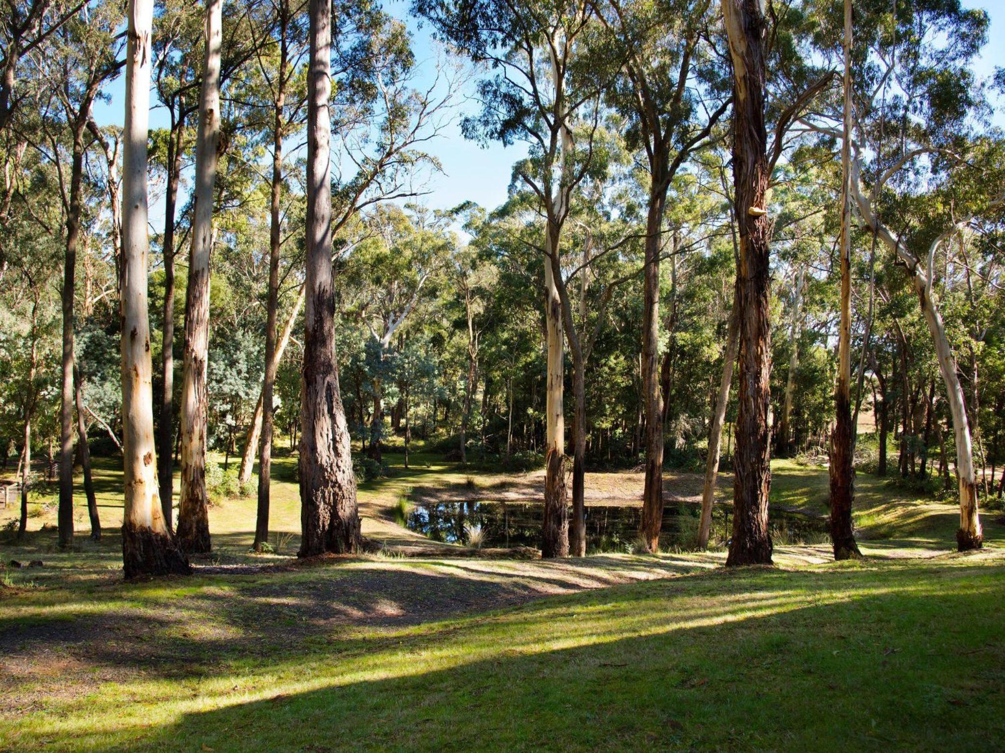 Gumnut Cottage Daylesford