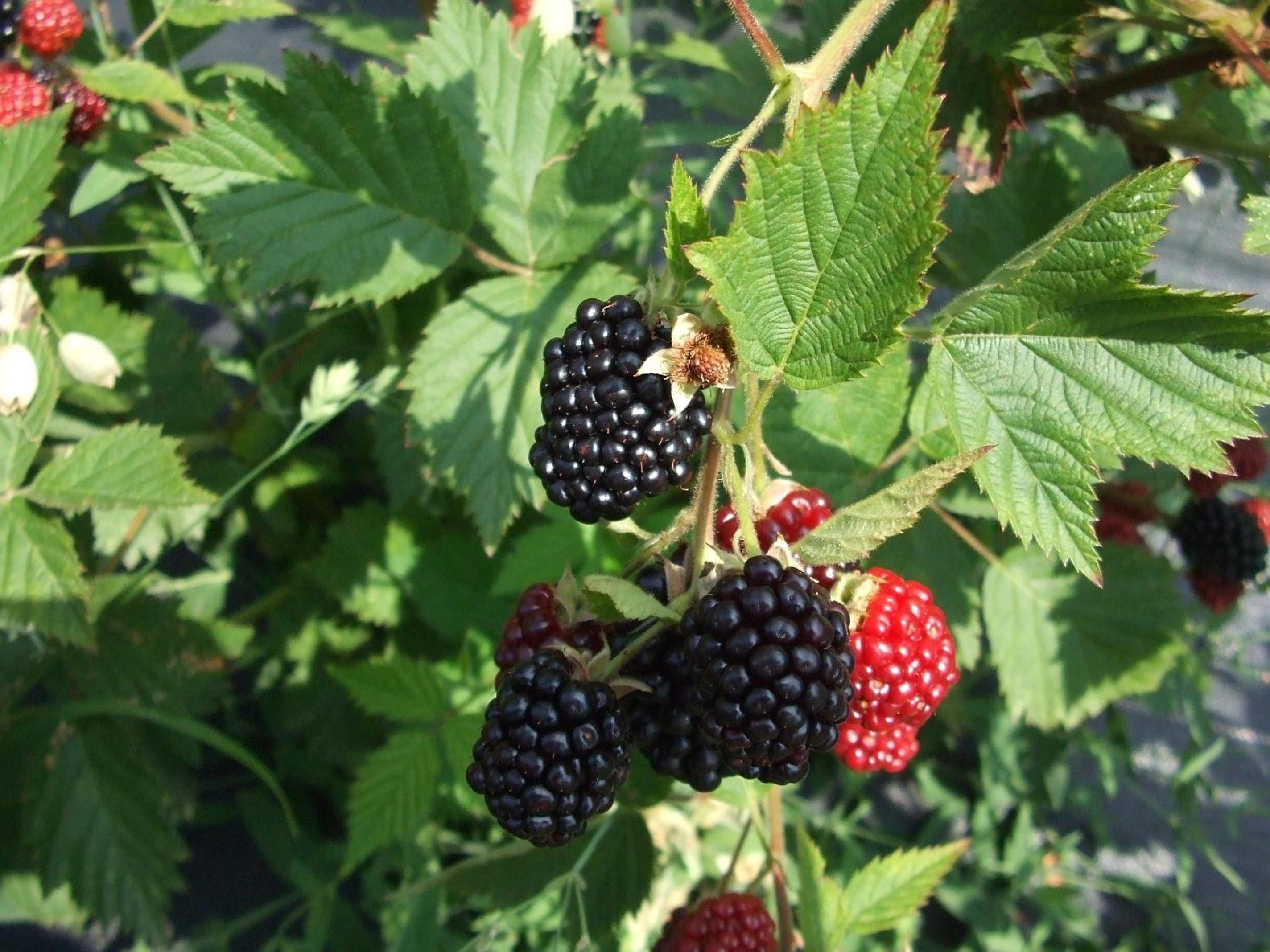 Agriturismo Cascina Rossano, photo 56