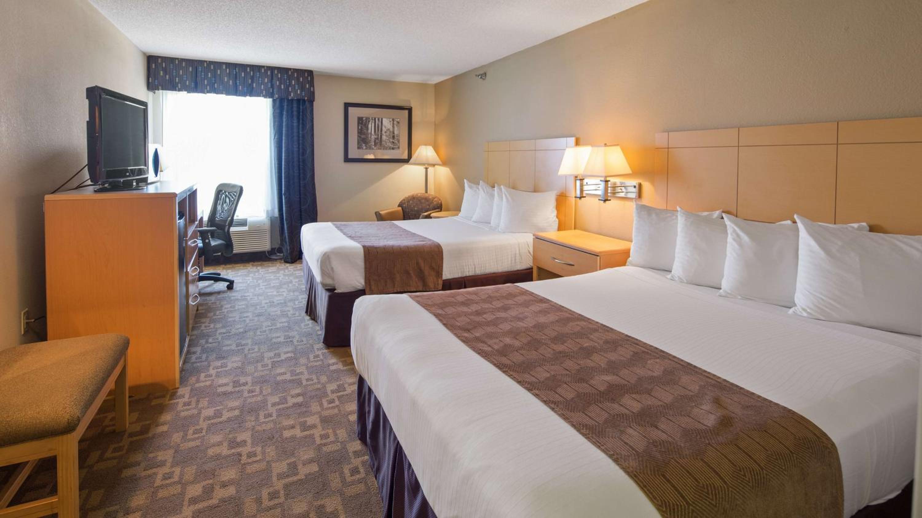 Roanoke Rapids Vacations - SureStay Plus Hotel by Best Western Roanoke Rapids I-95 - Property Image 5