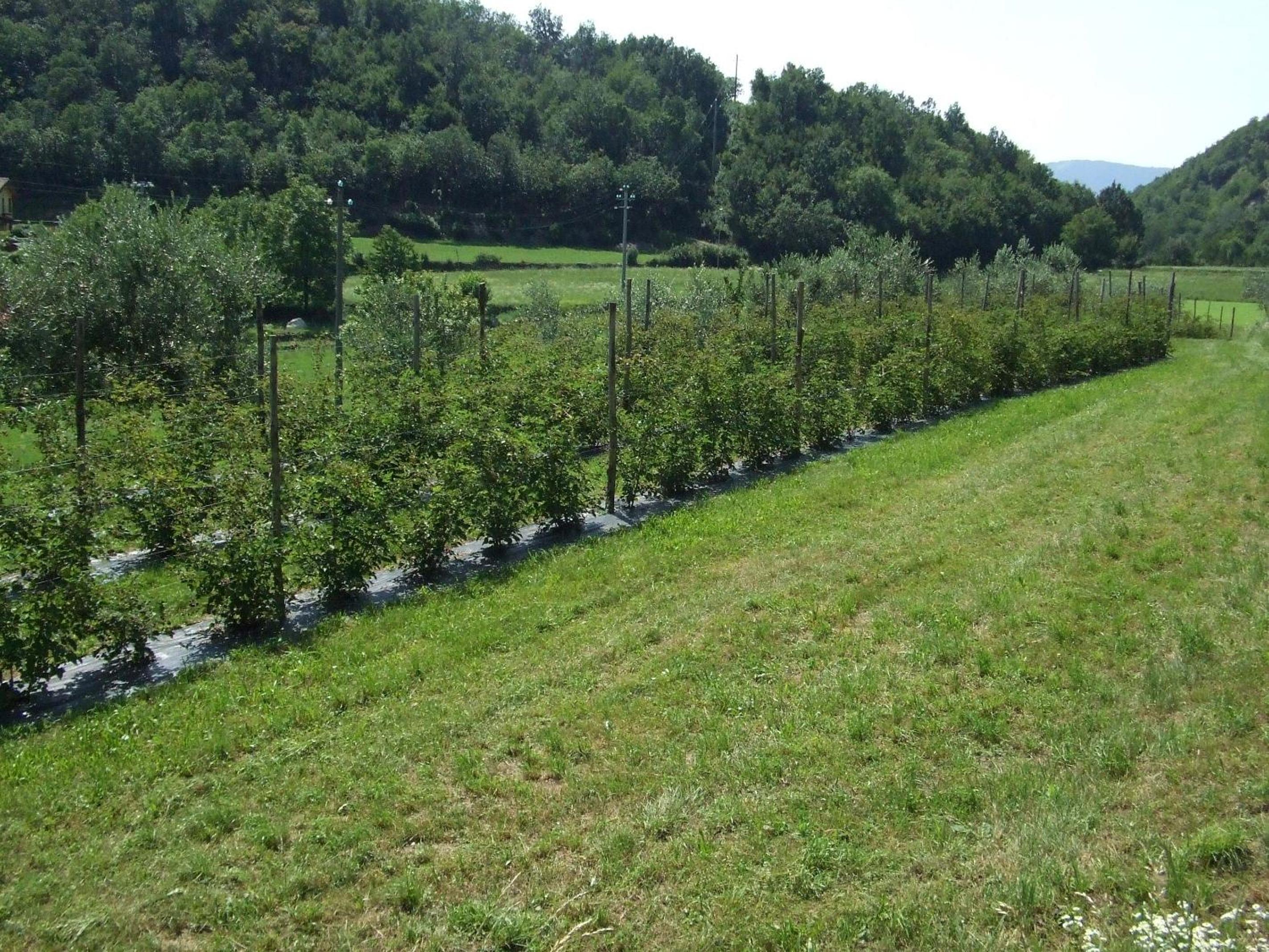 Agriturismo Cascina Rossano, photo 72