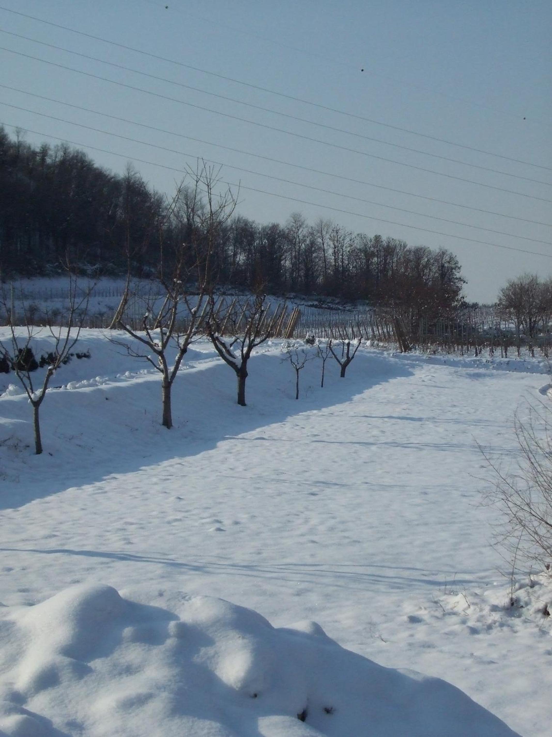 Agriturismo Cascina Rossano, photo 36