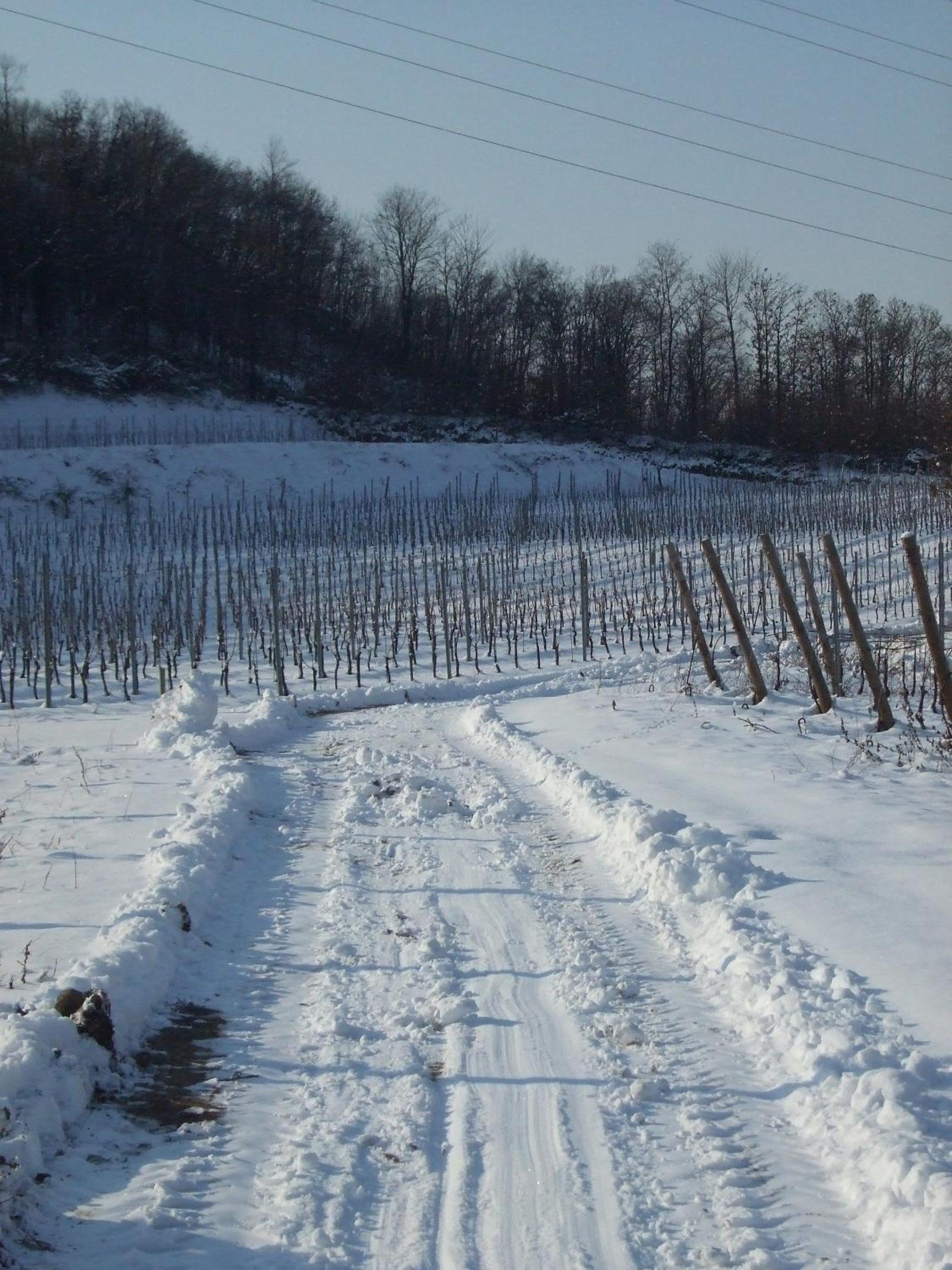 Agriturismo Cascina Rossano, photo 28