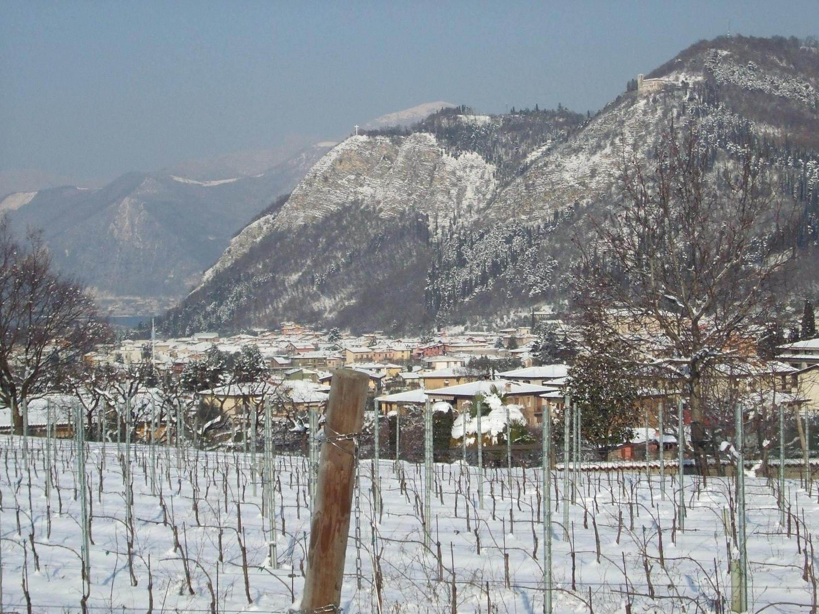 Agriturismo Cascina Rossano, photo 68