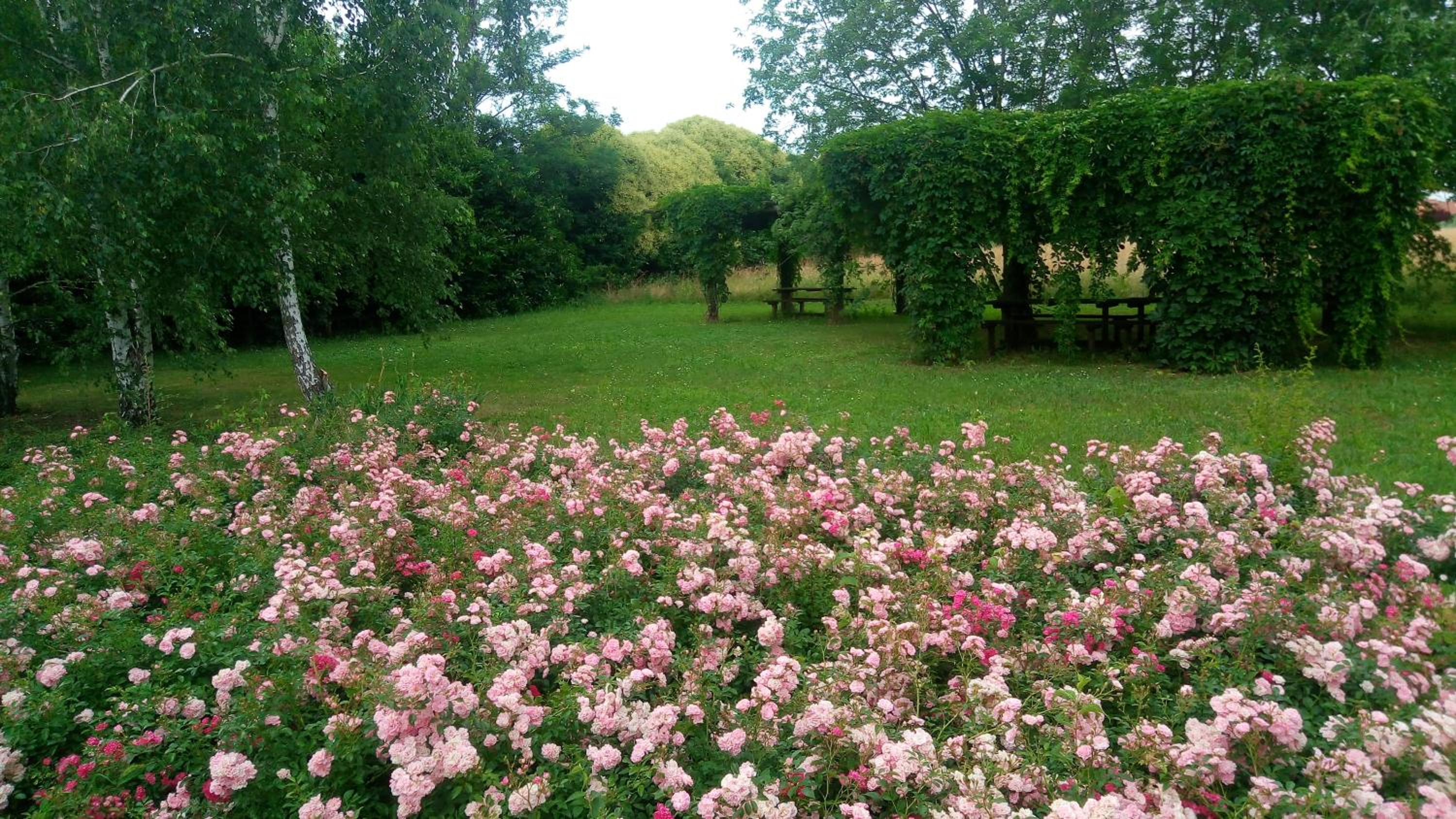 Agriturismo Il Magicorto