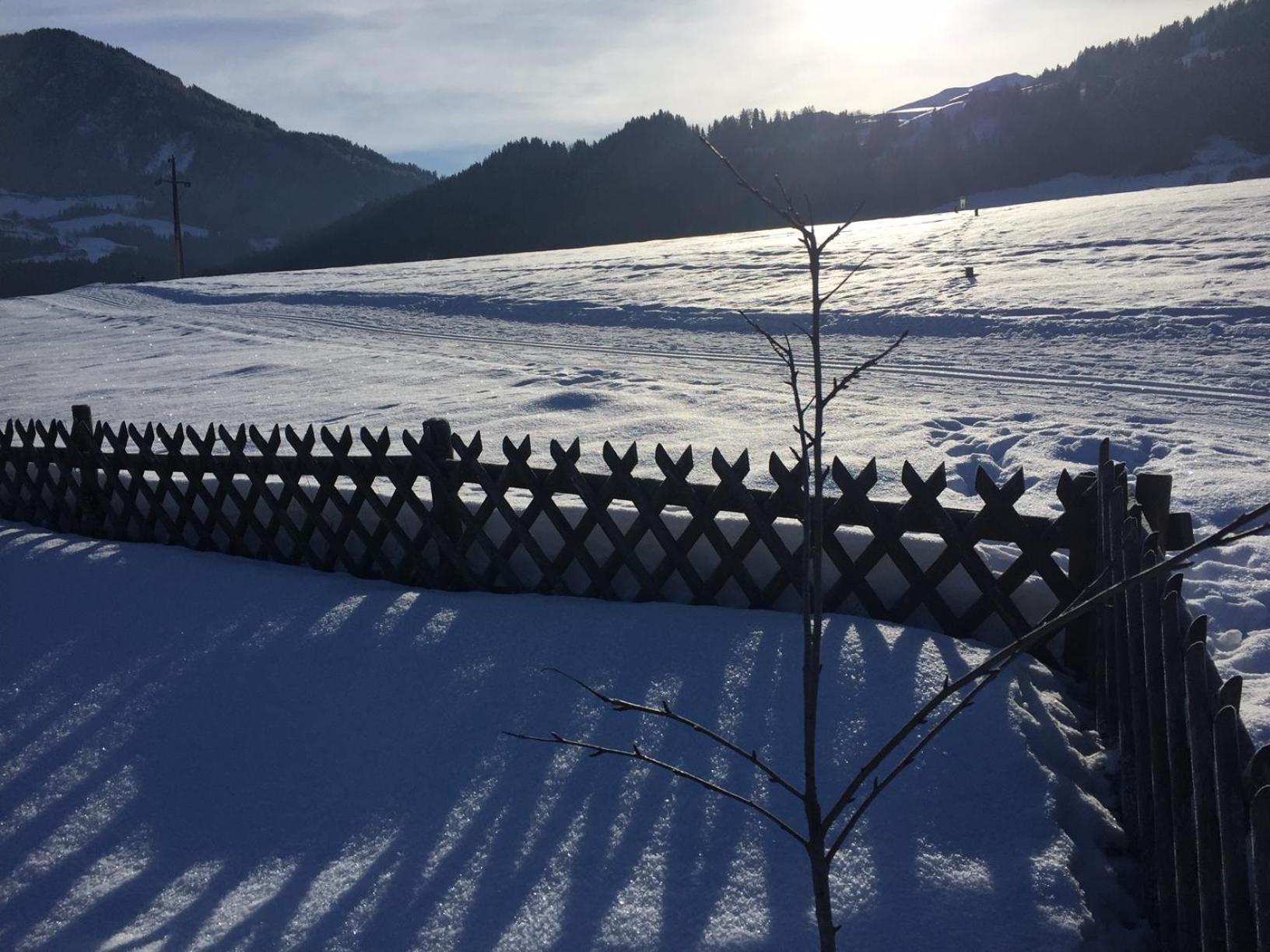 Wohlfühlchalet Tirol