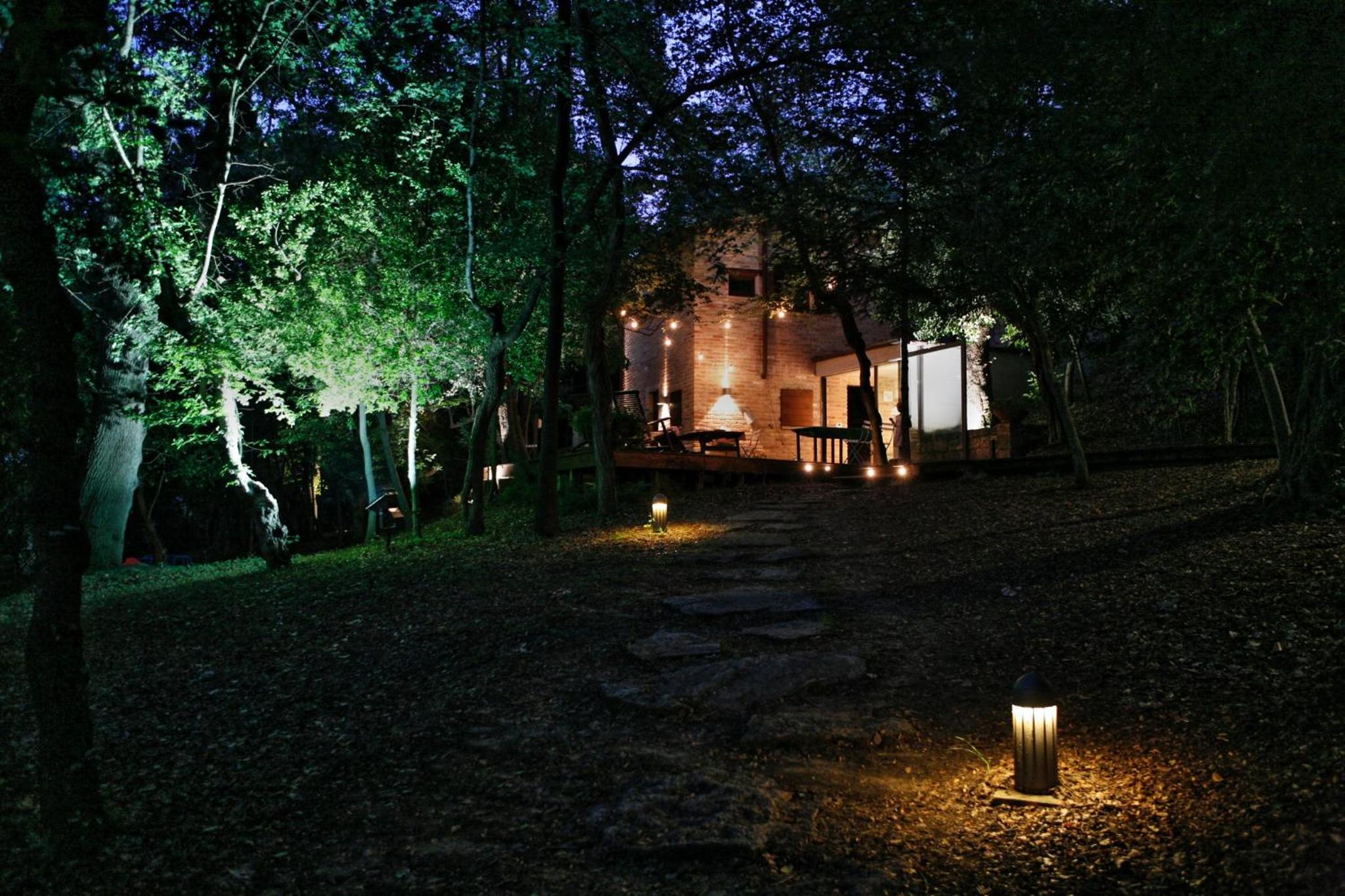 Photo 9