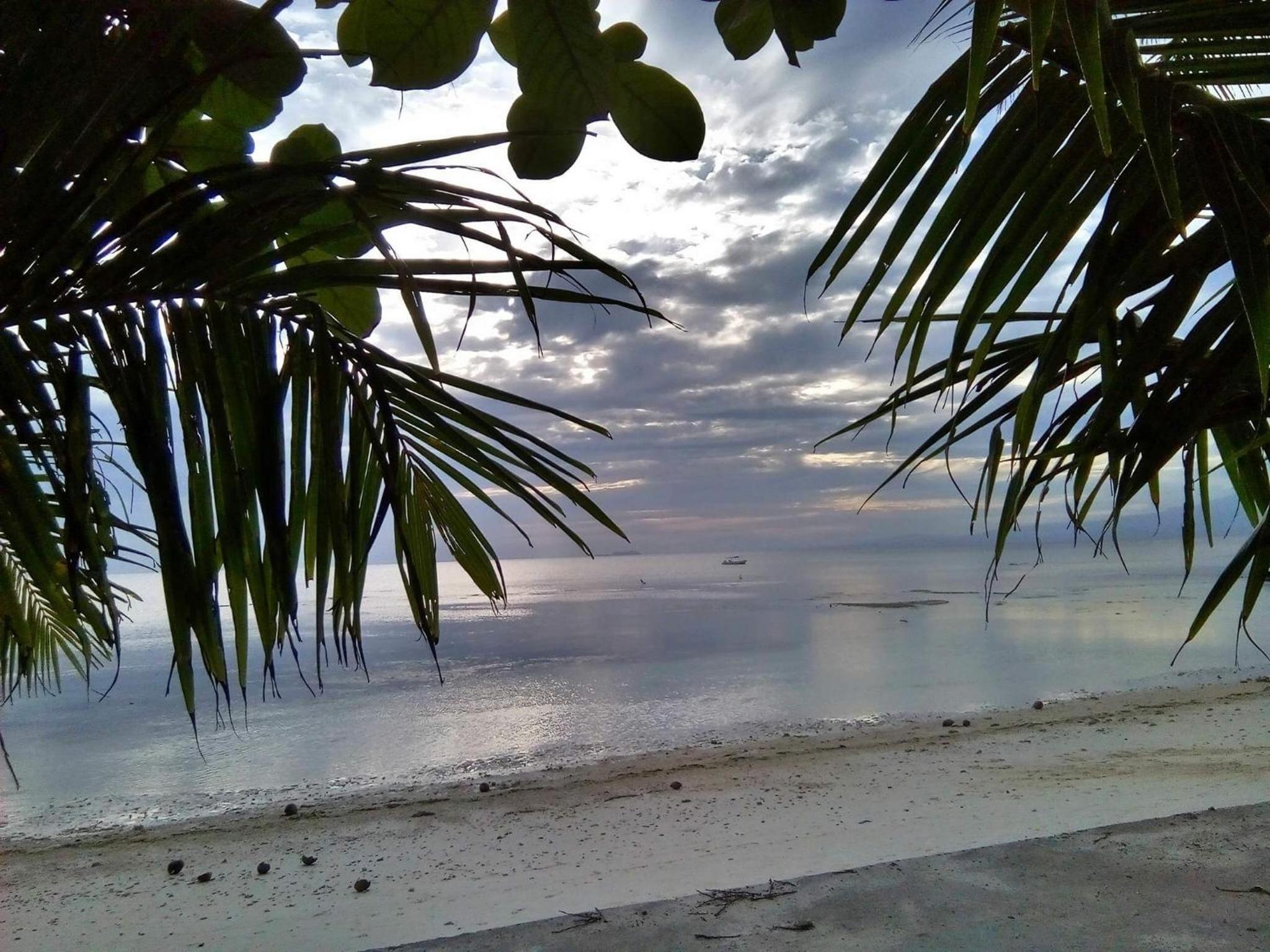 Photo 41