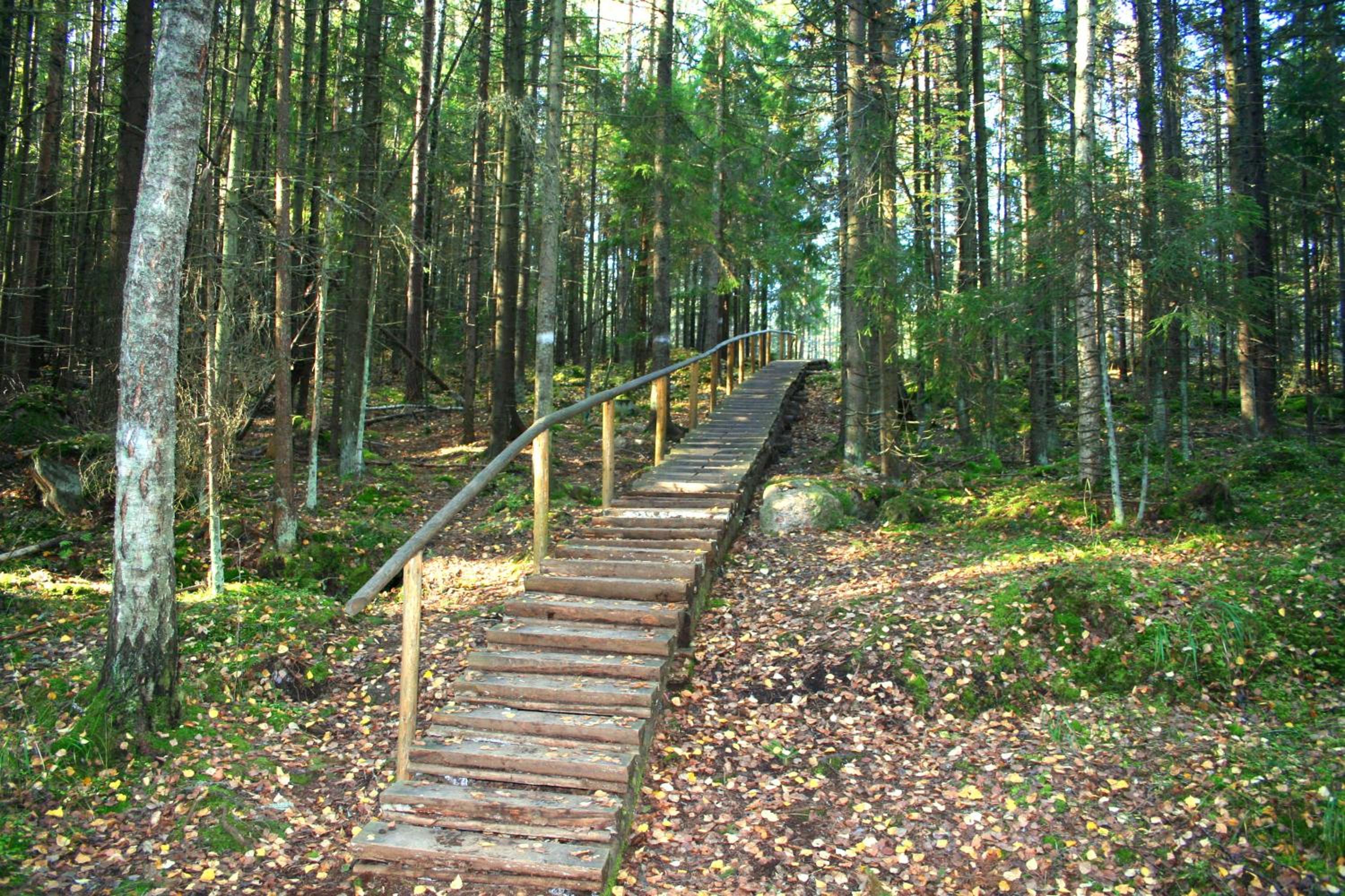 Santalahti Resort Cottages & Villas