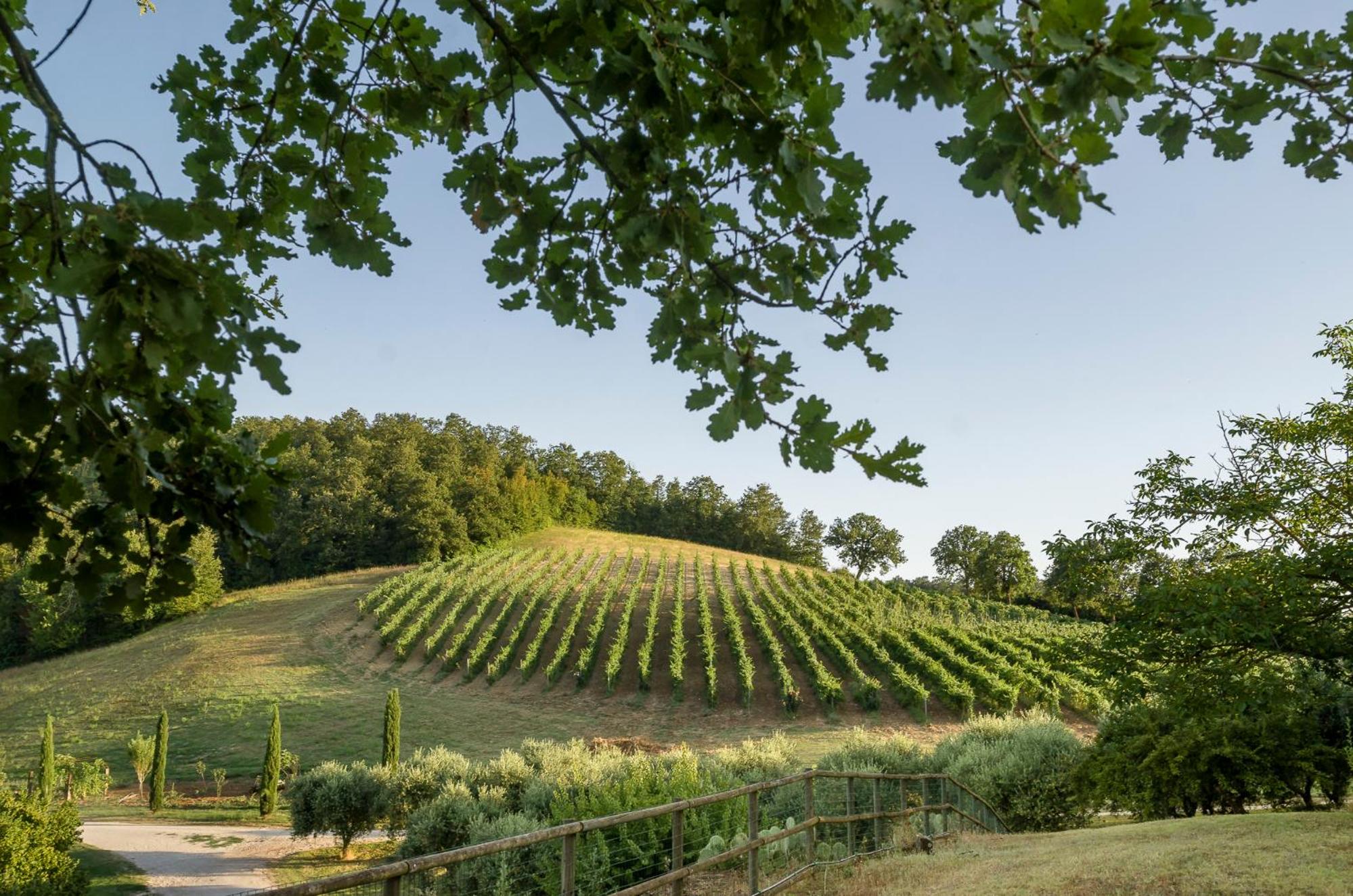 Tenuta la Torraccia agriturismo