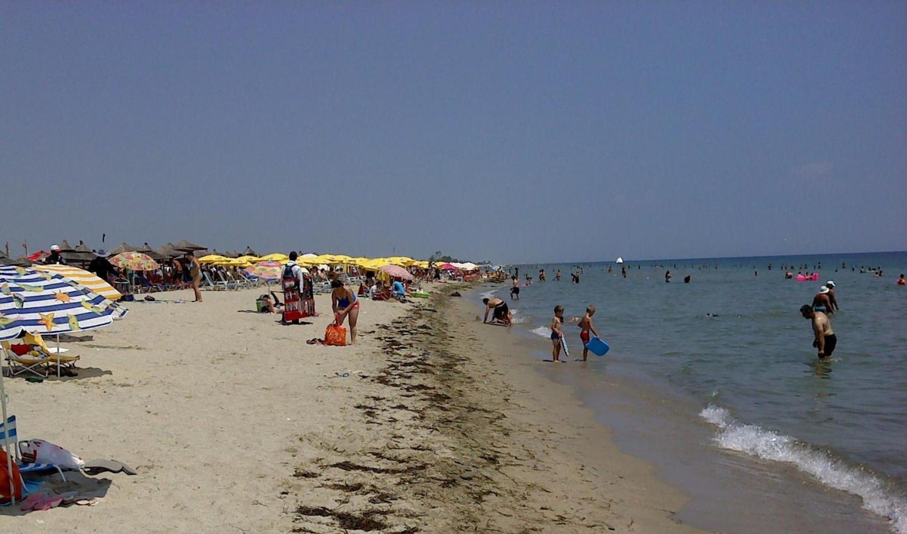 Photo 7
