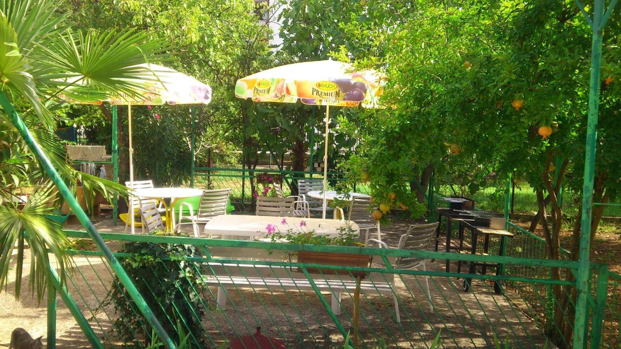 Photo 49