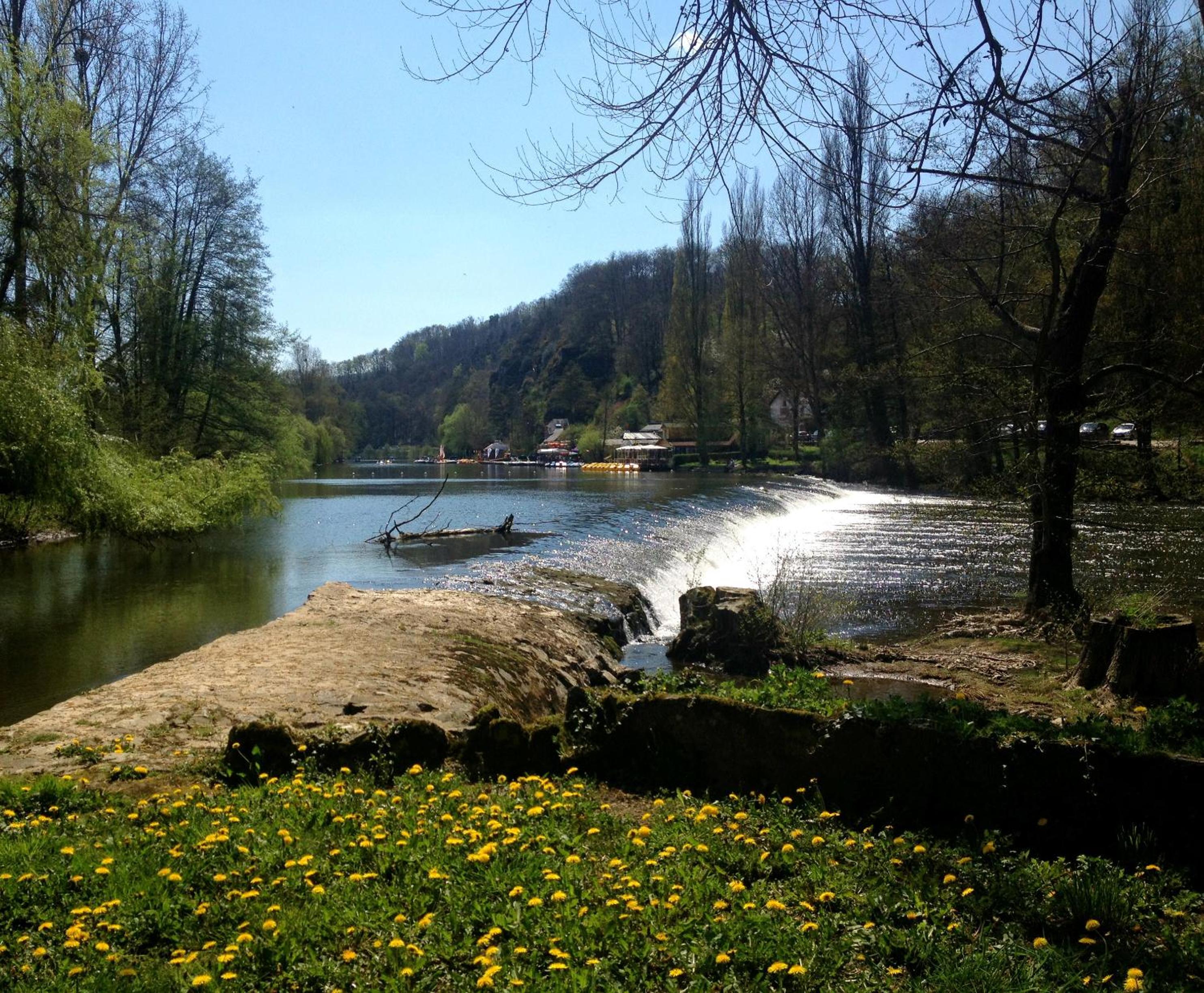 Photo 16