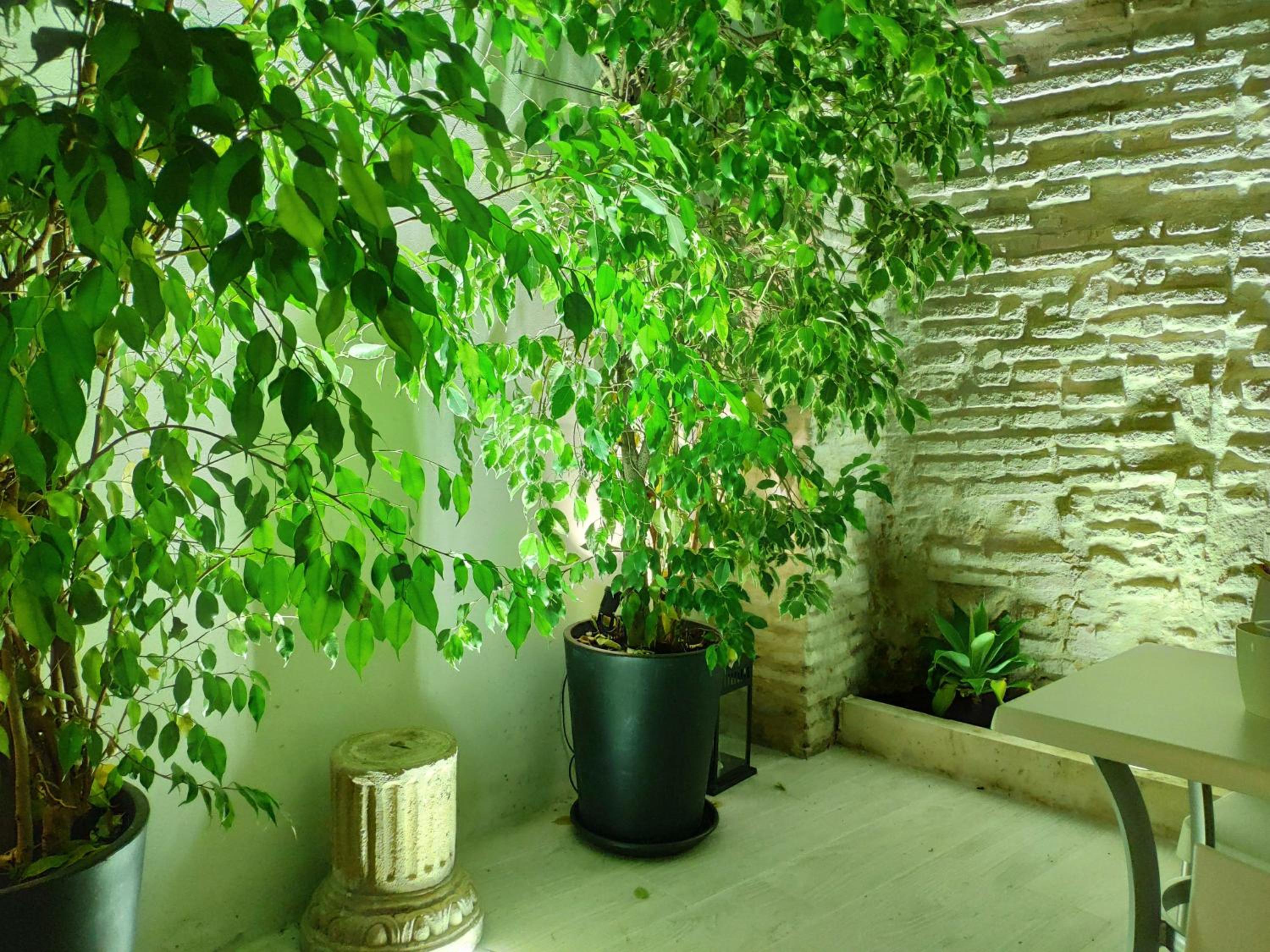 Apartamentos Córdoba Atrium