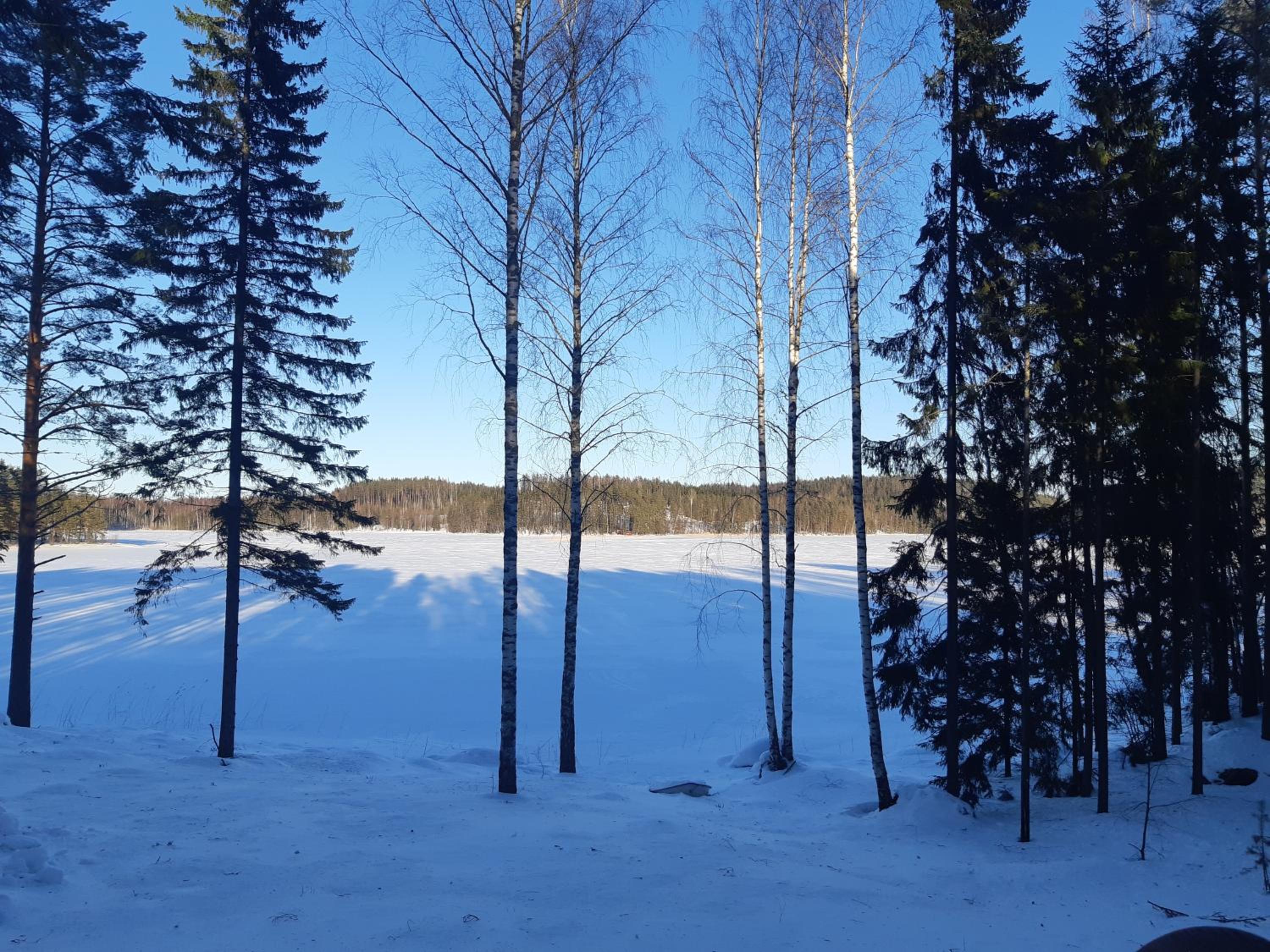 Villa Saimaa view 4