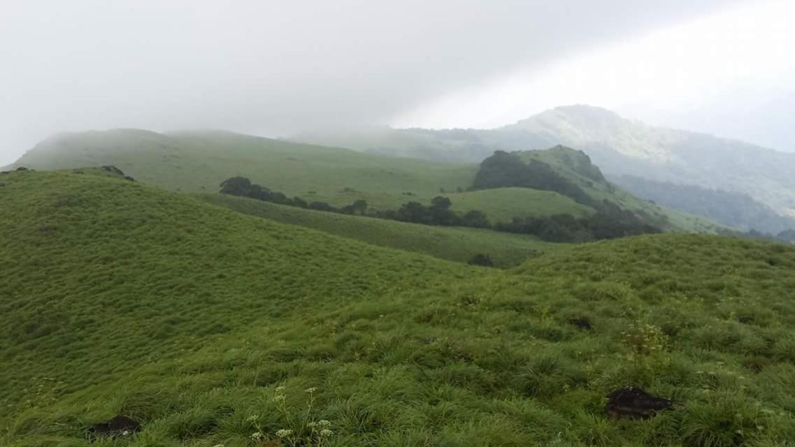 Paithal Mount Resort