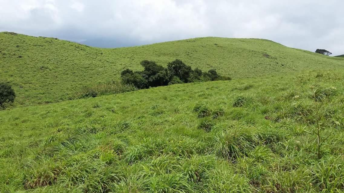 Paithal Mount Resort