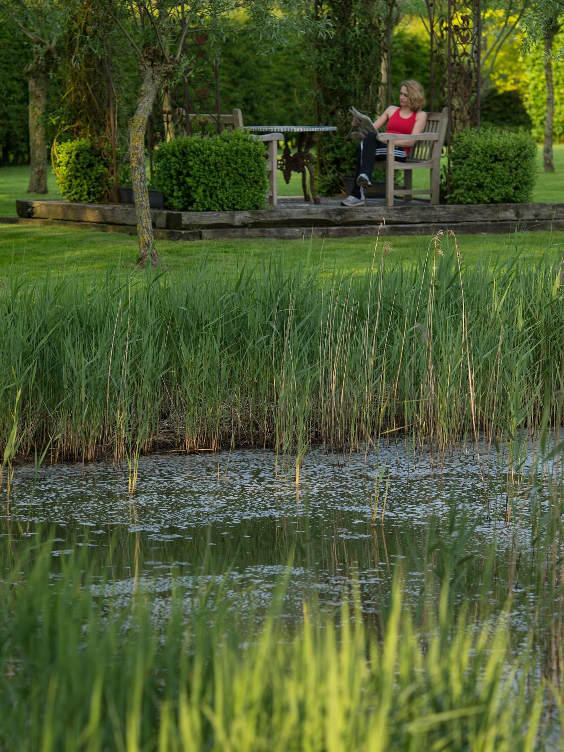 B&B Pronkenburg