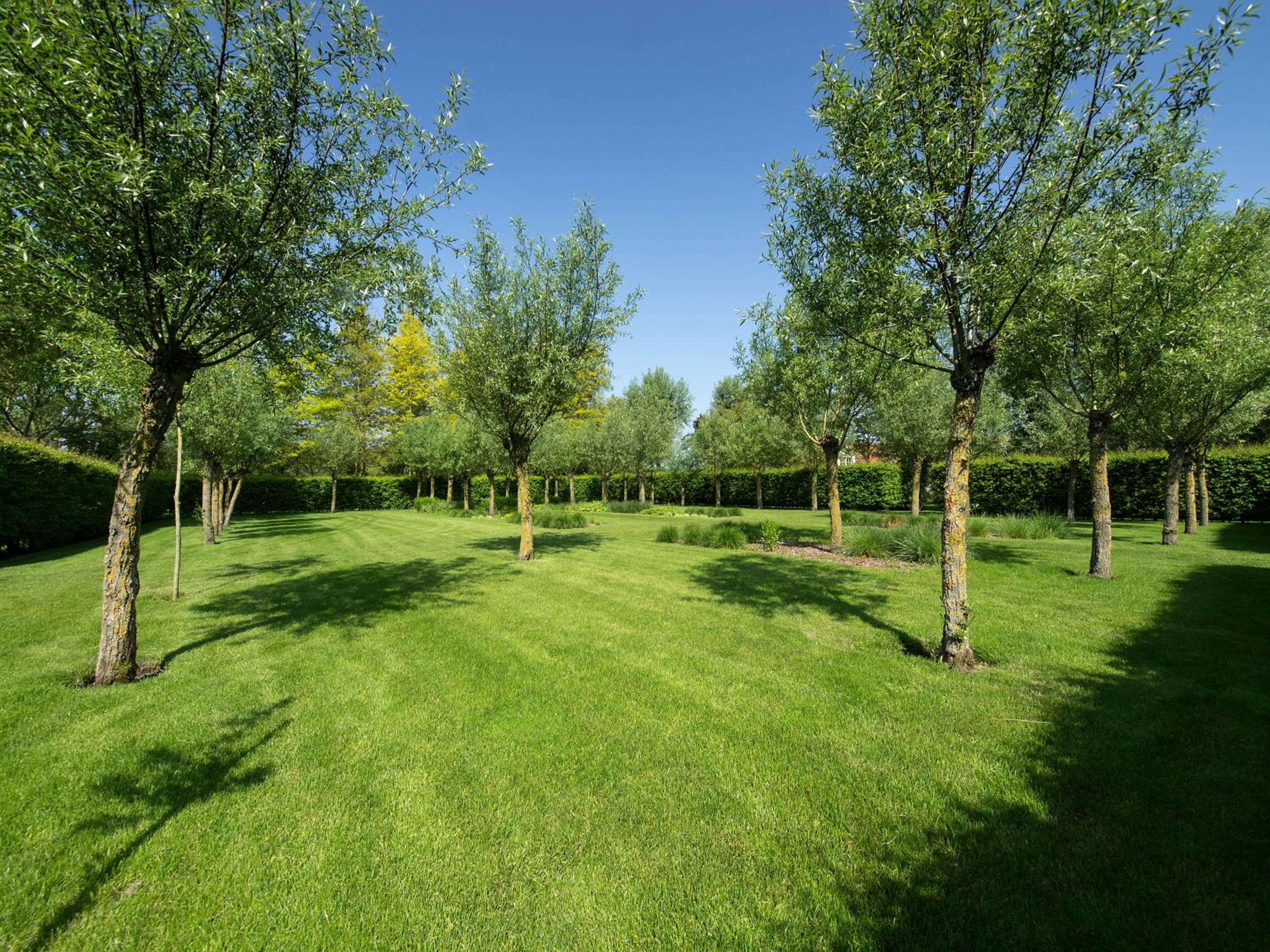 B&B Pronkenburg