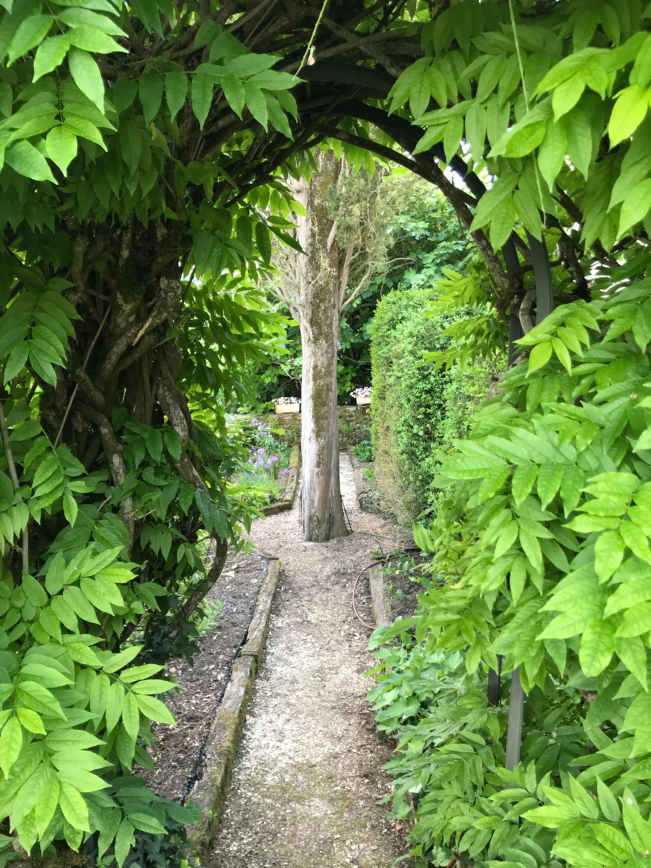 Photo 47