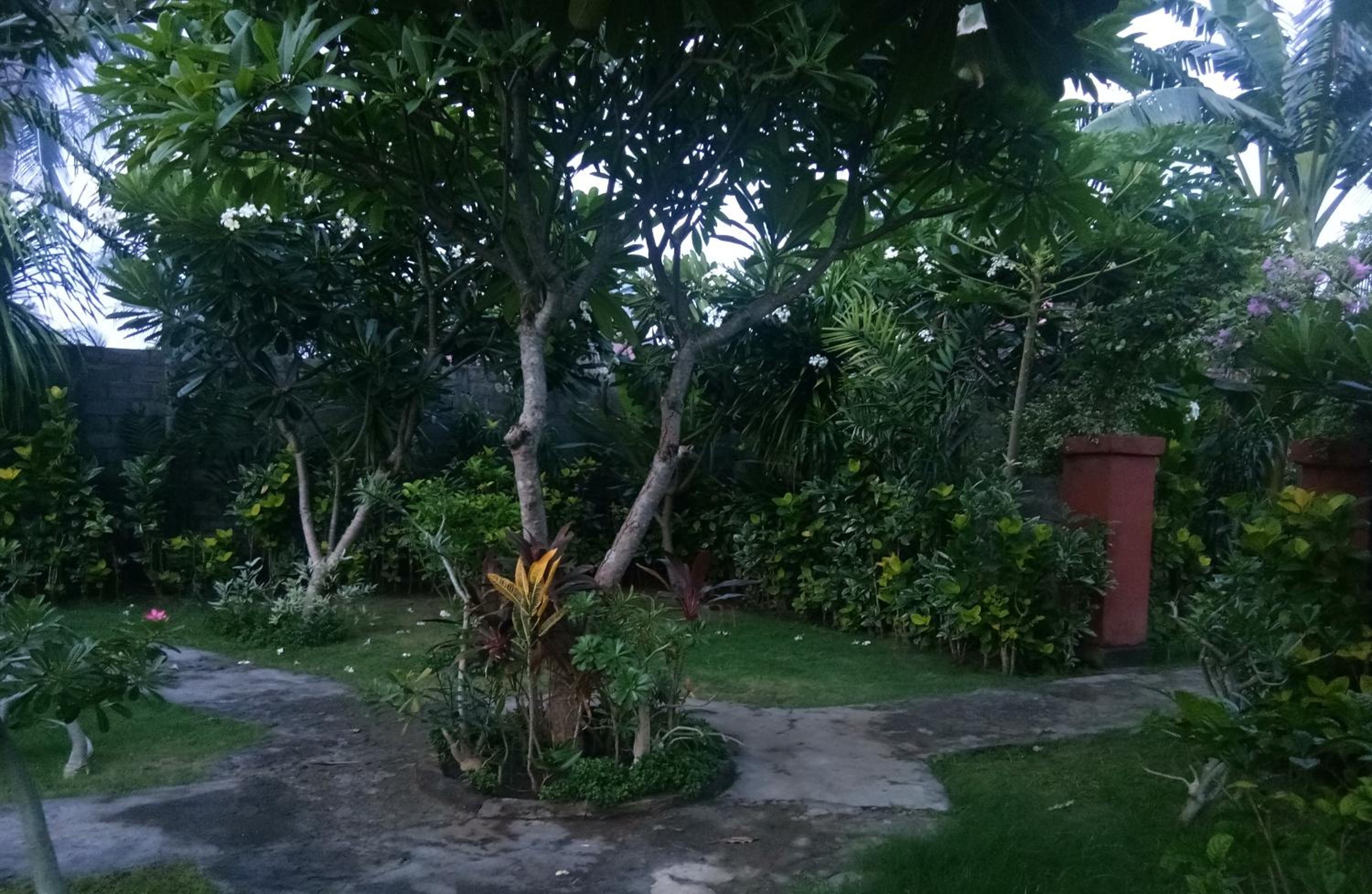 Molleh Guest House view 2