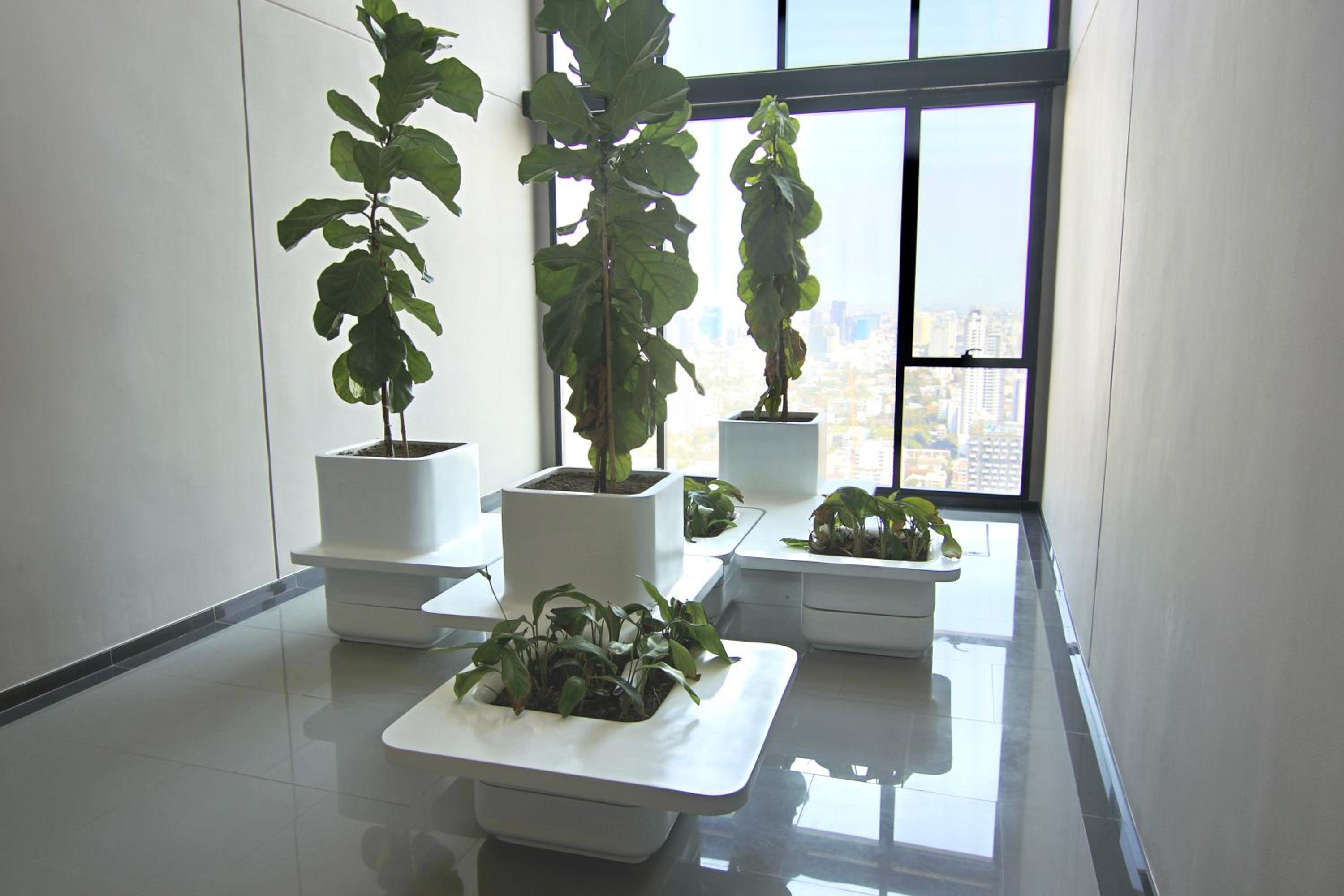 Luxurious & Romantic in the Heart of BKK. MRT/BTS!