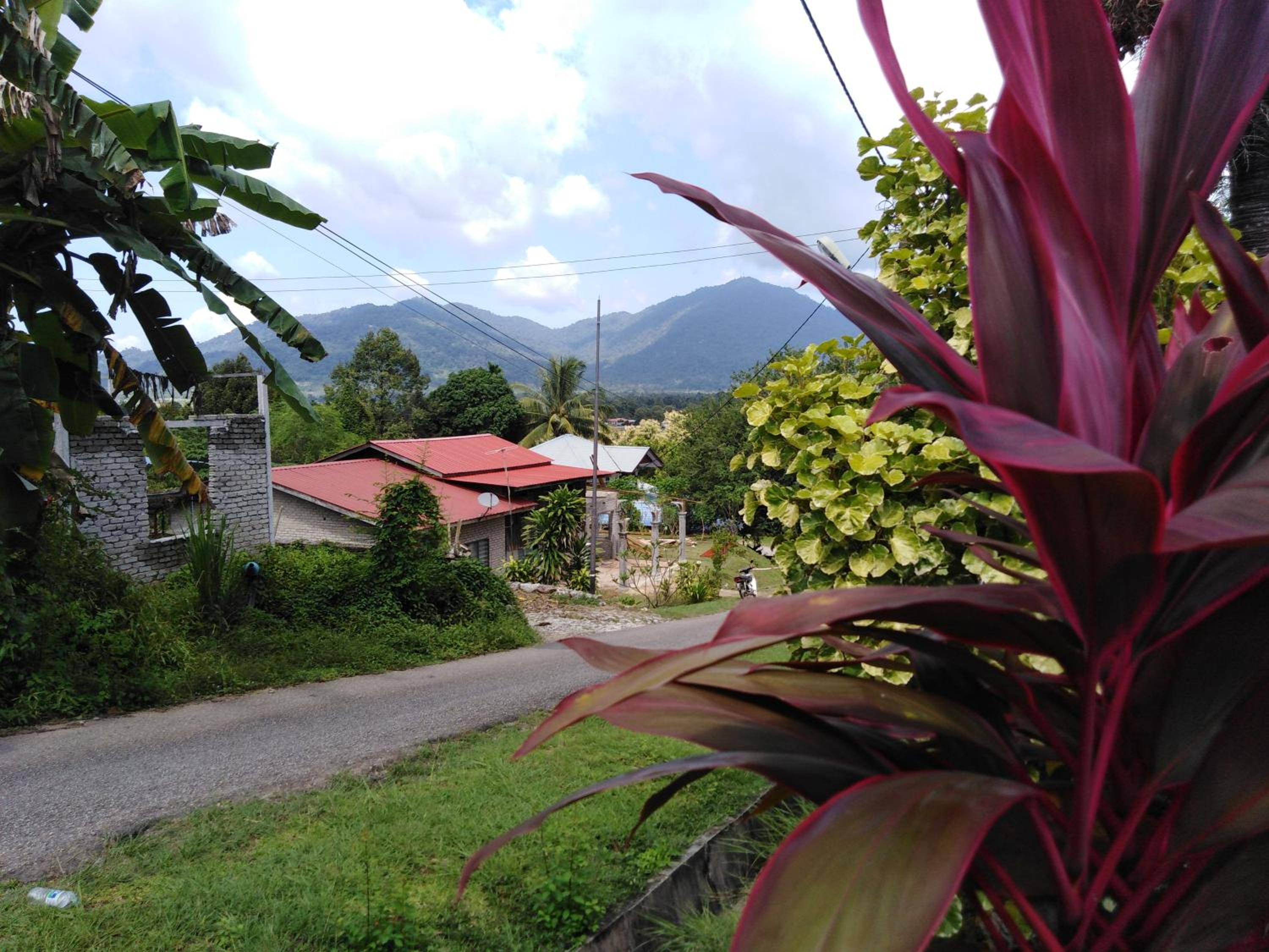 Homestay Haji Hamid photo 5