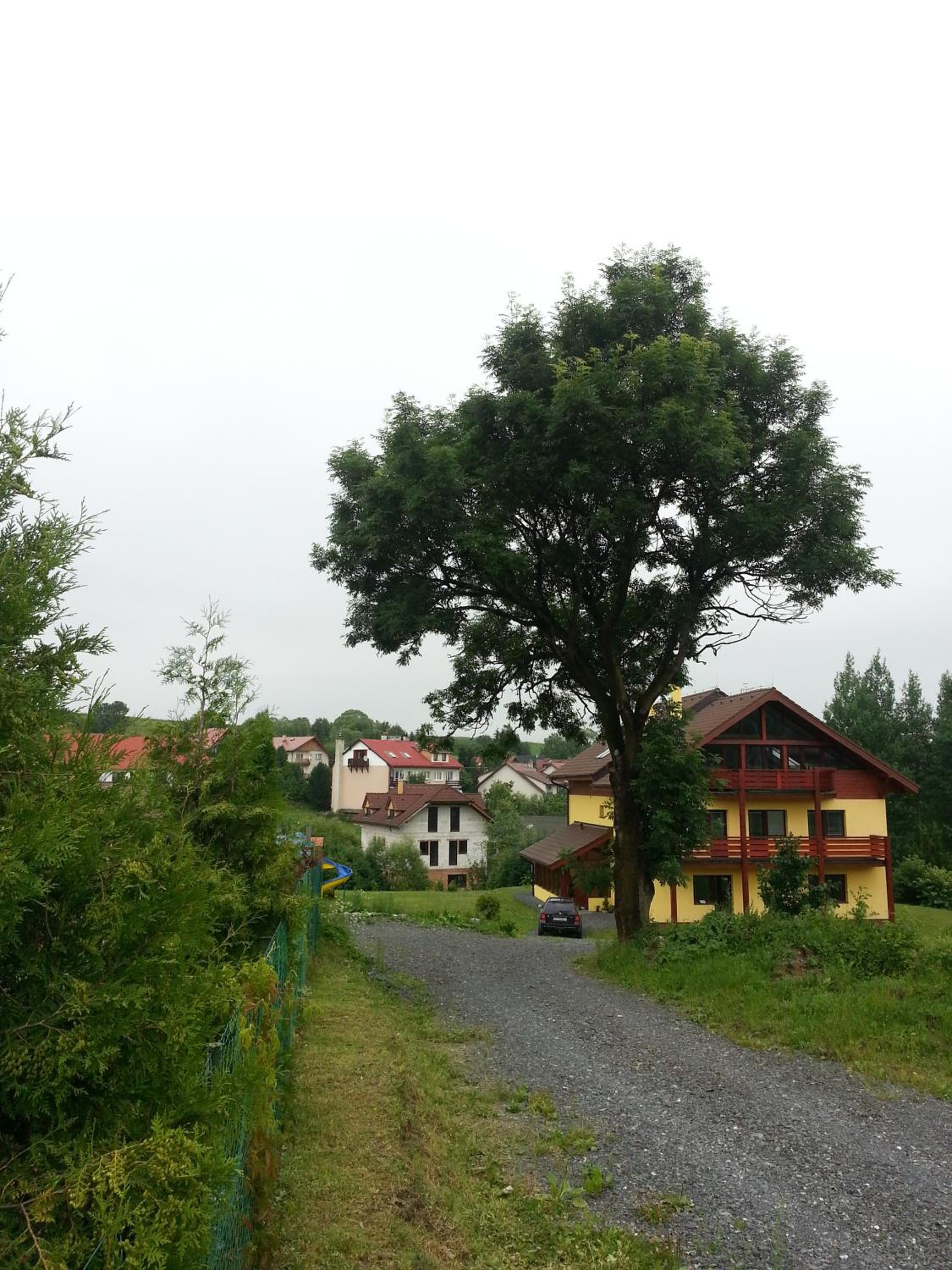 Photo 24