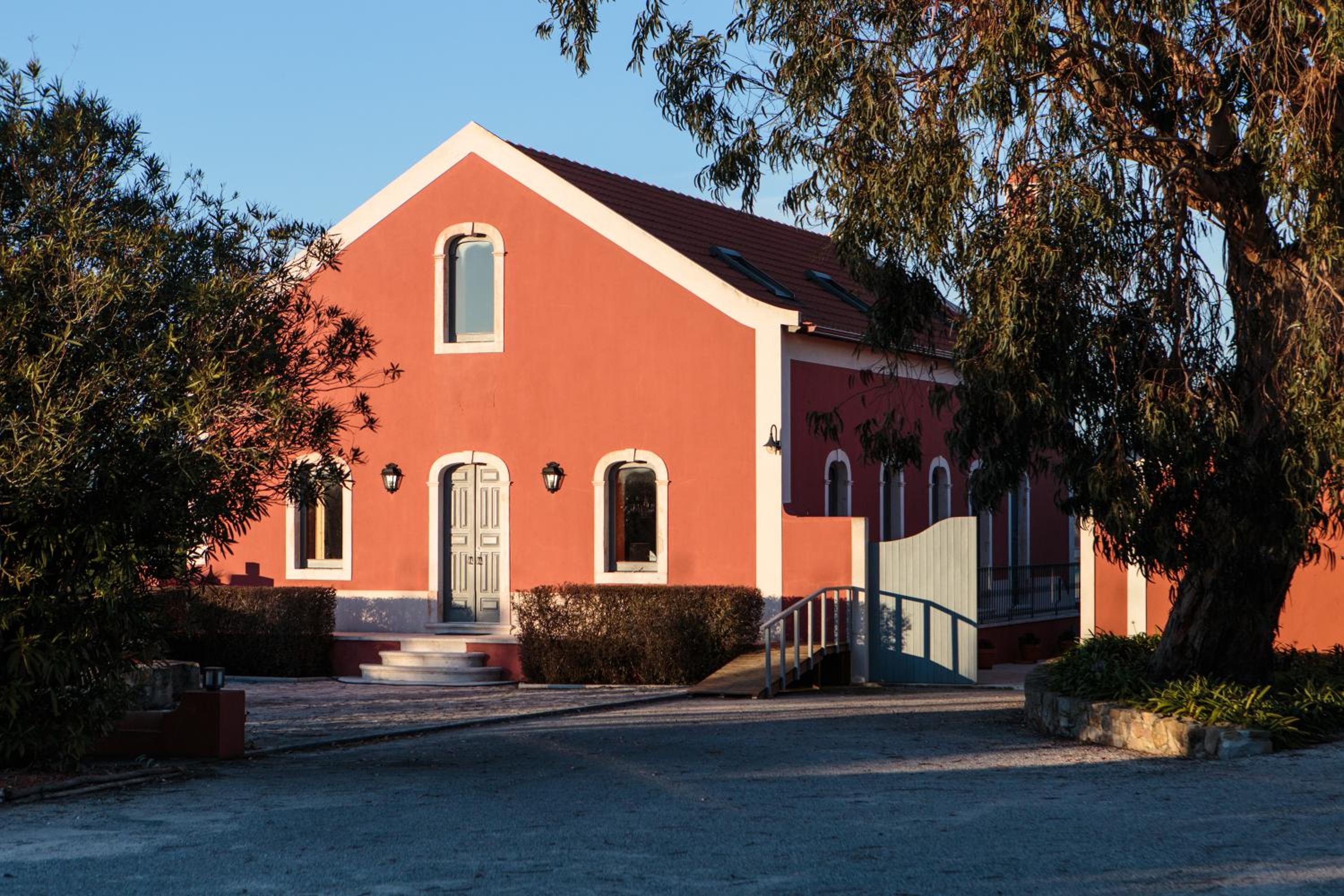 Quinta das Soizas - São Martinho view 5