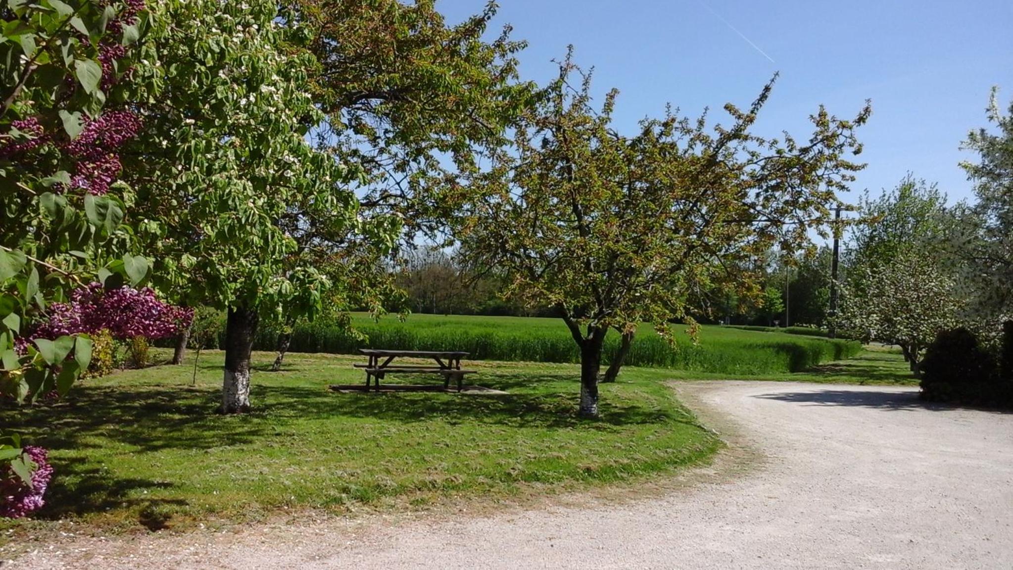 Photo 7