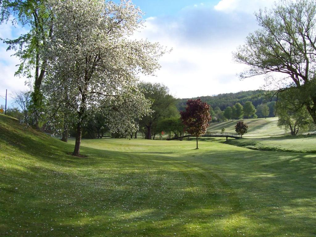 Byrncliff Golf Resort view 5