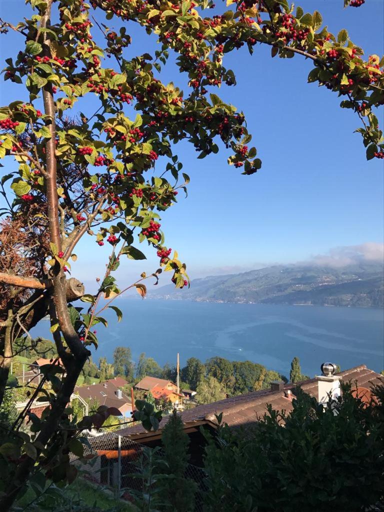 Traumhaftes Chalet mit Seesicht view 4