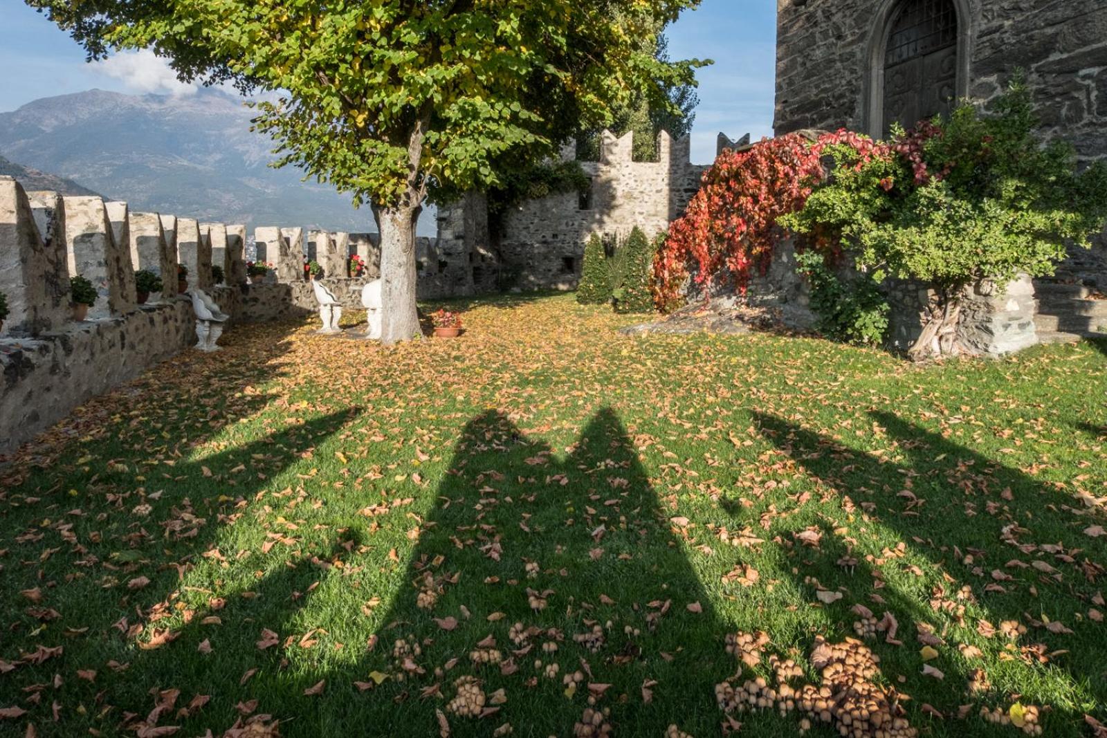 Photo 46