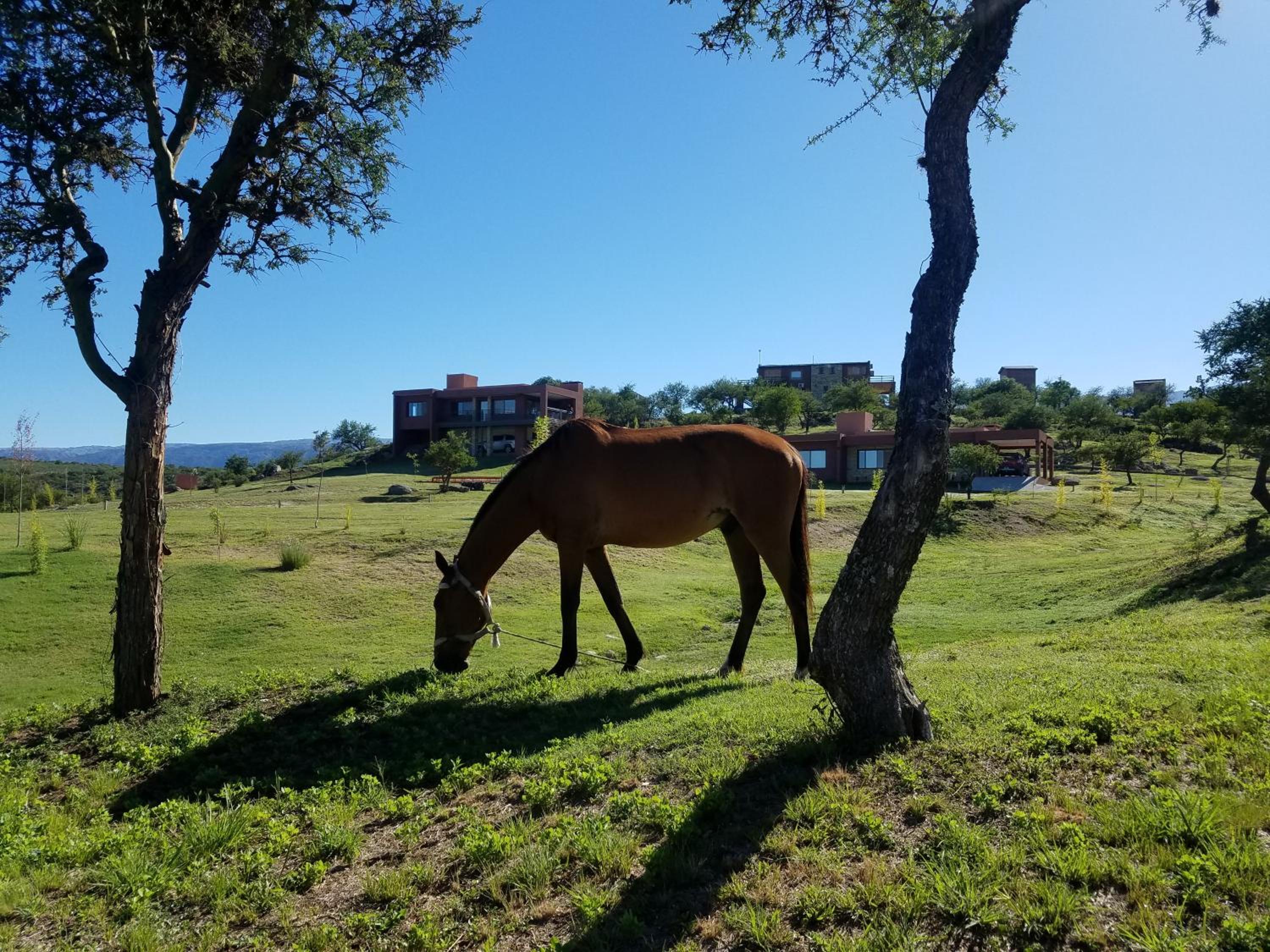 LA TOSCANA casas y suites