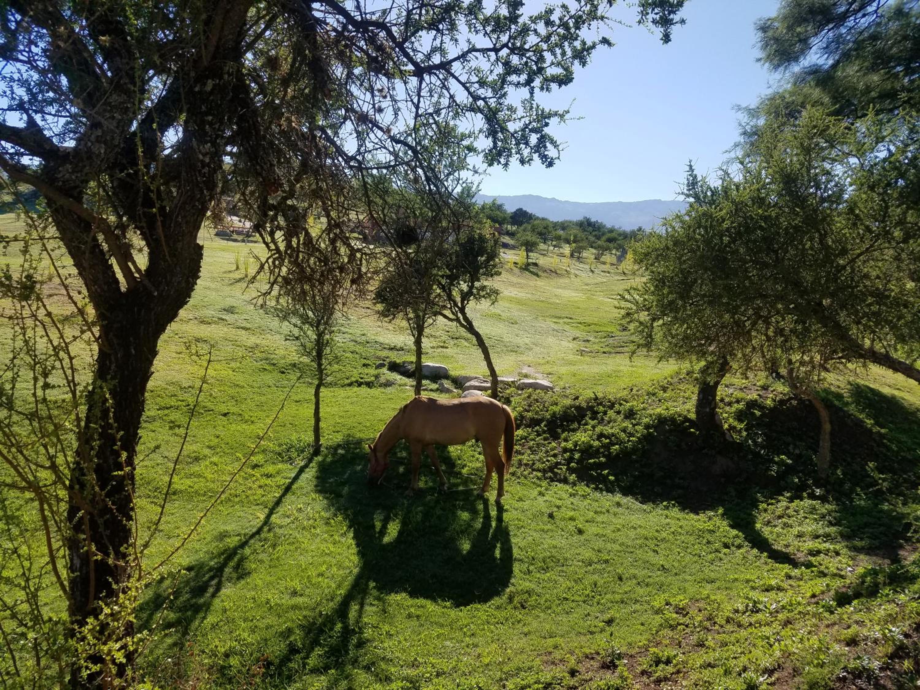 LA TOSCANA casas y suites
