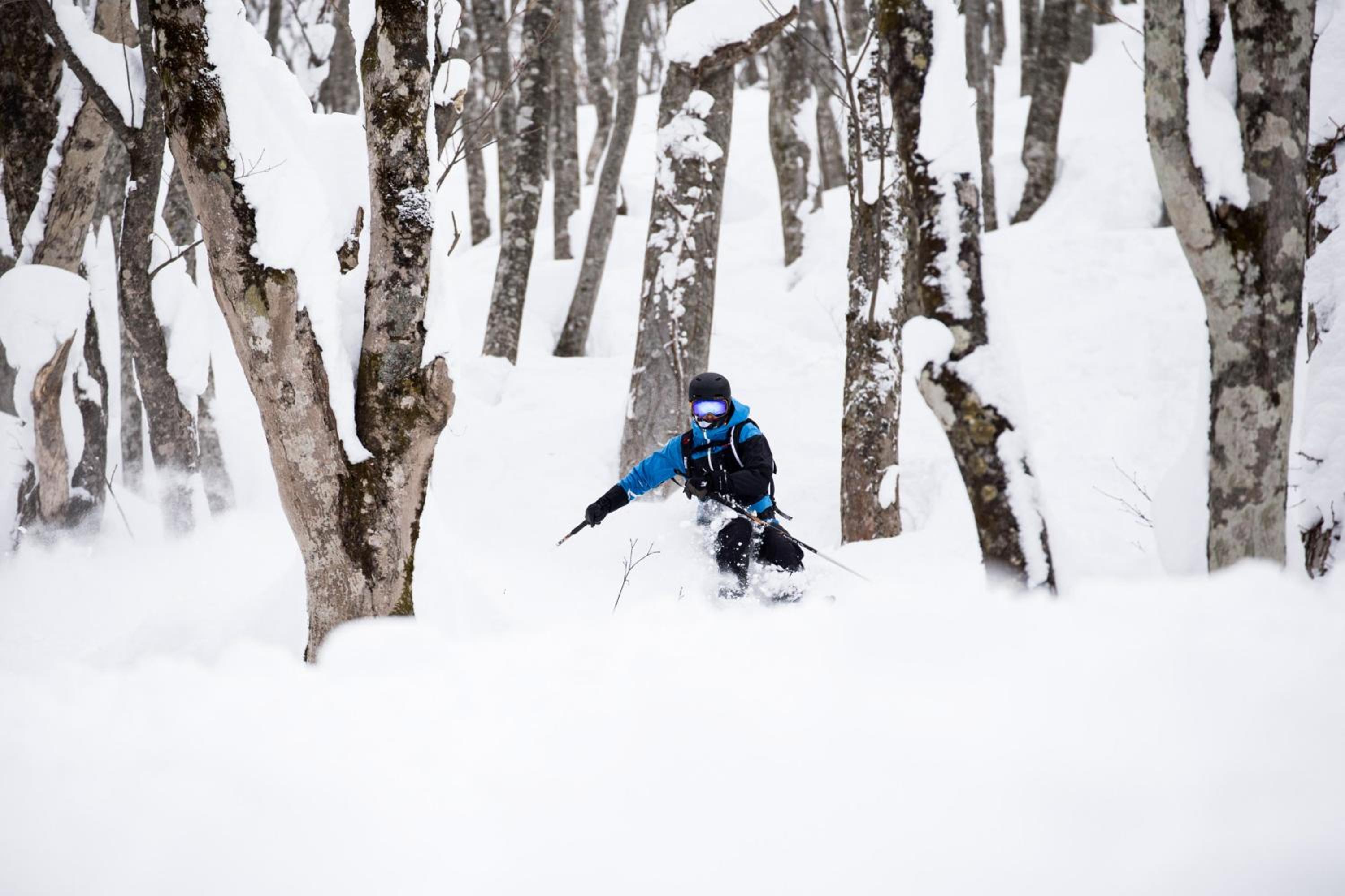 Hakuba Cortina Lodge