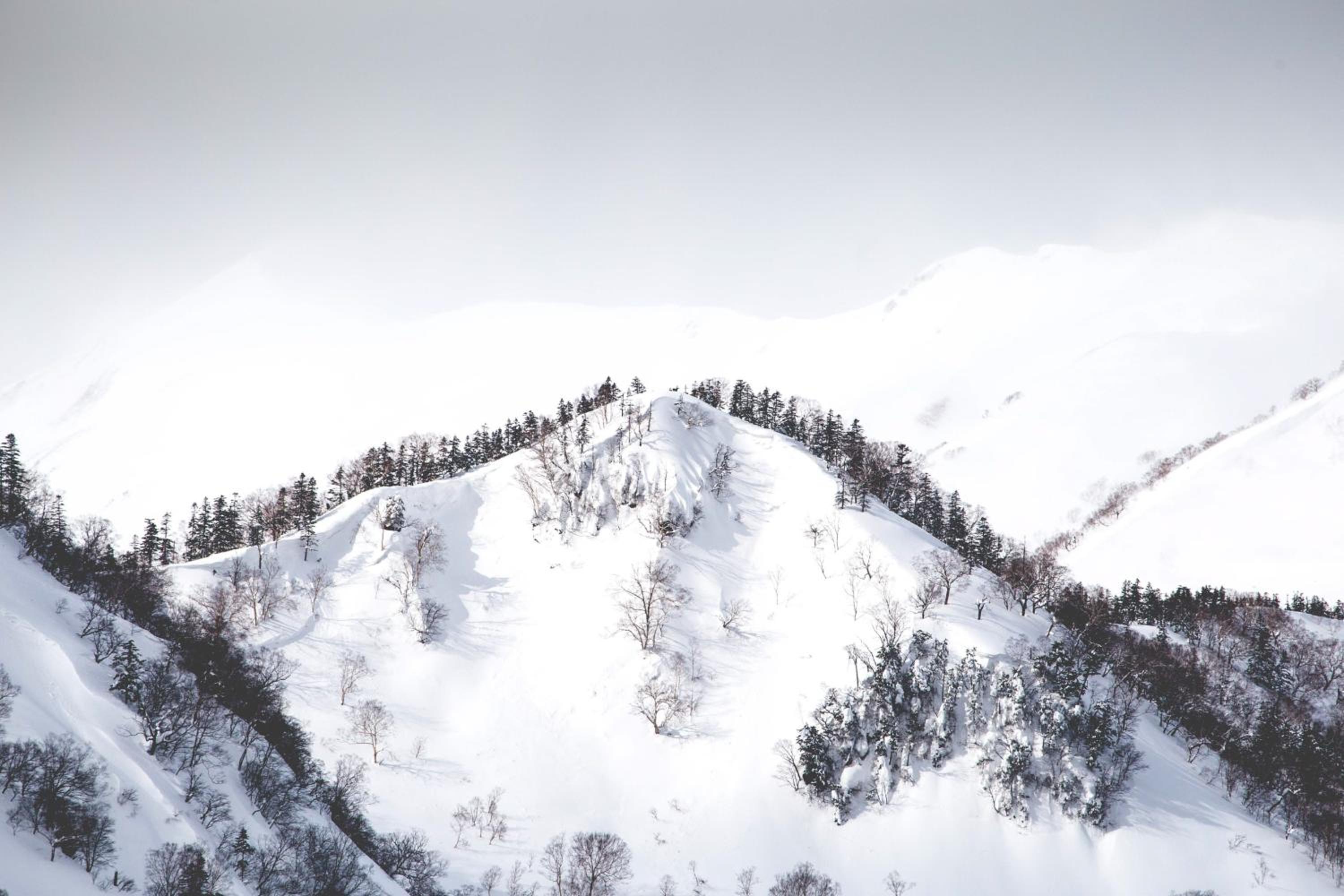 Hakuba Cortina Backpackers view 2