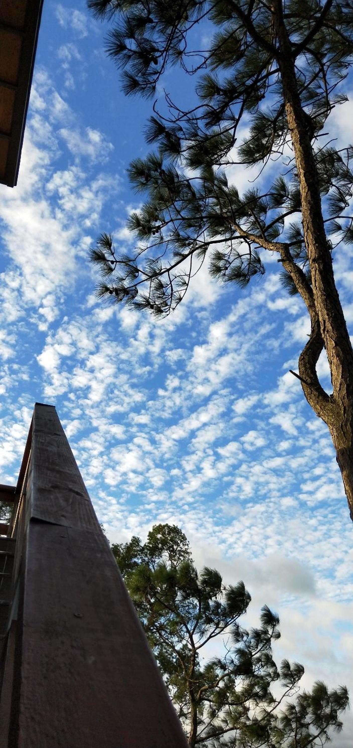 Photo 57