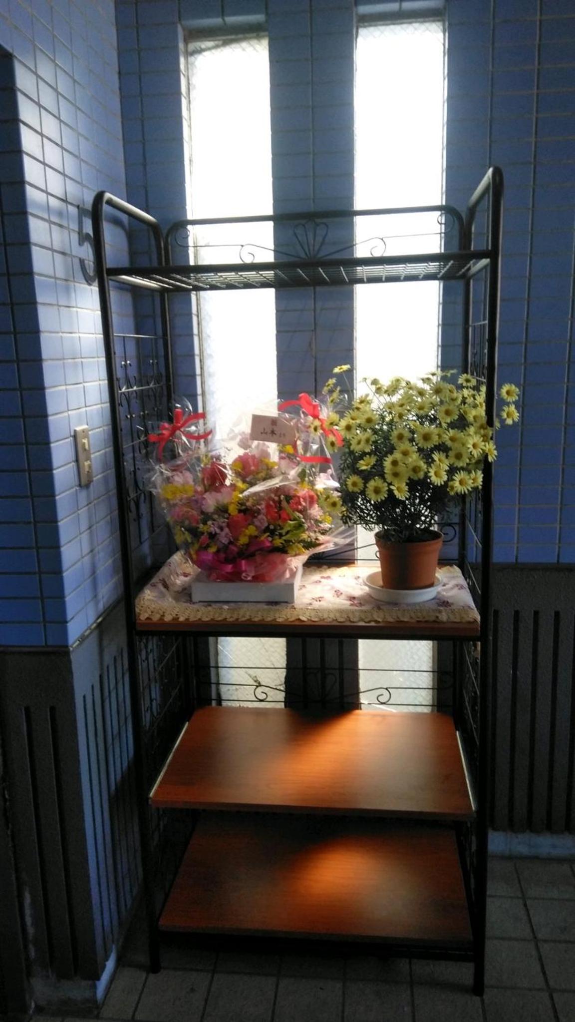 Photo 12