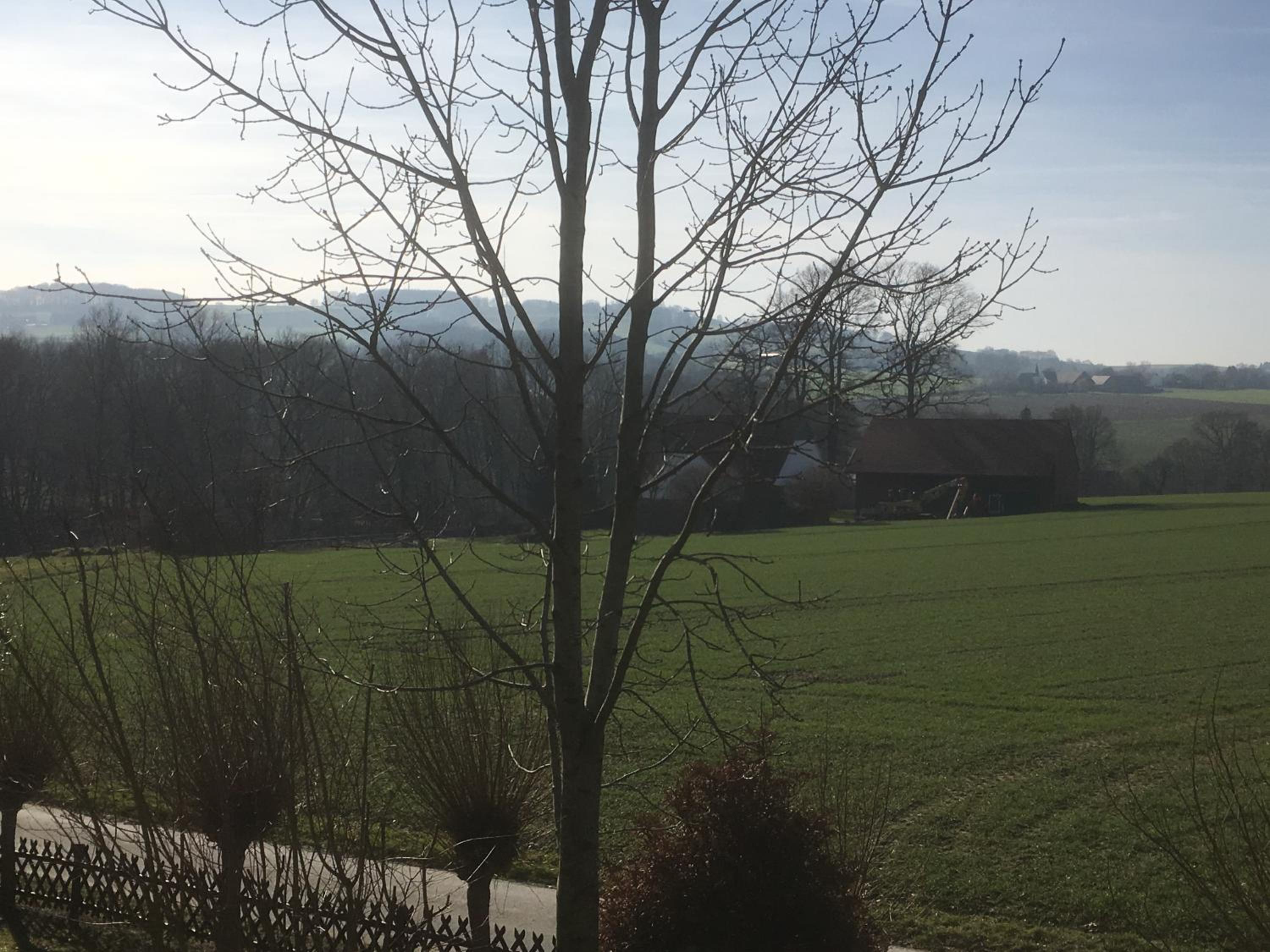 Ferienwohnung am Bramschebach en Löhne — other