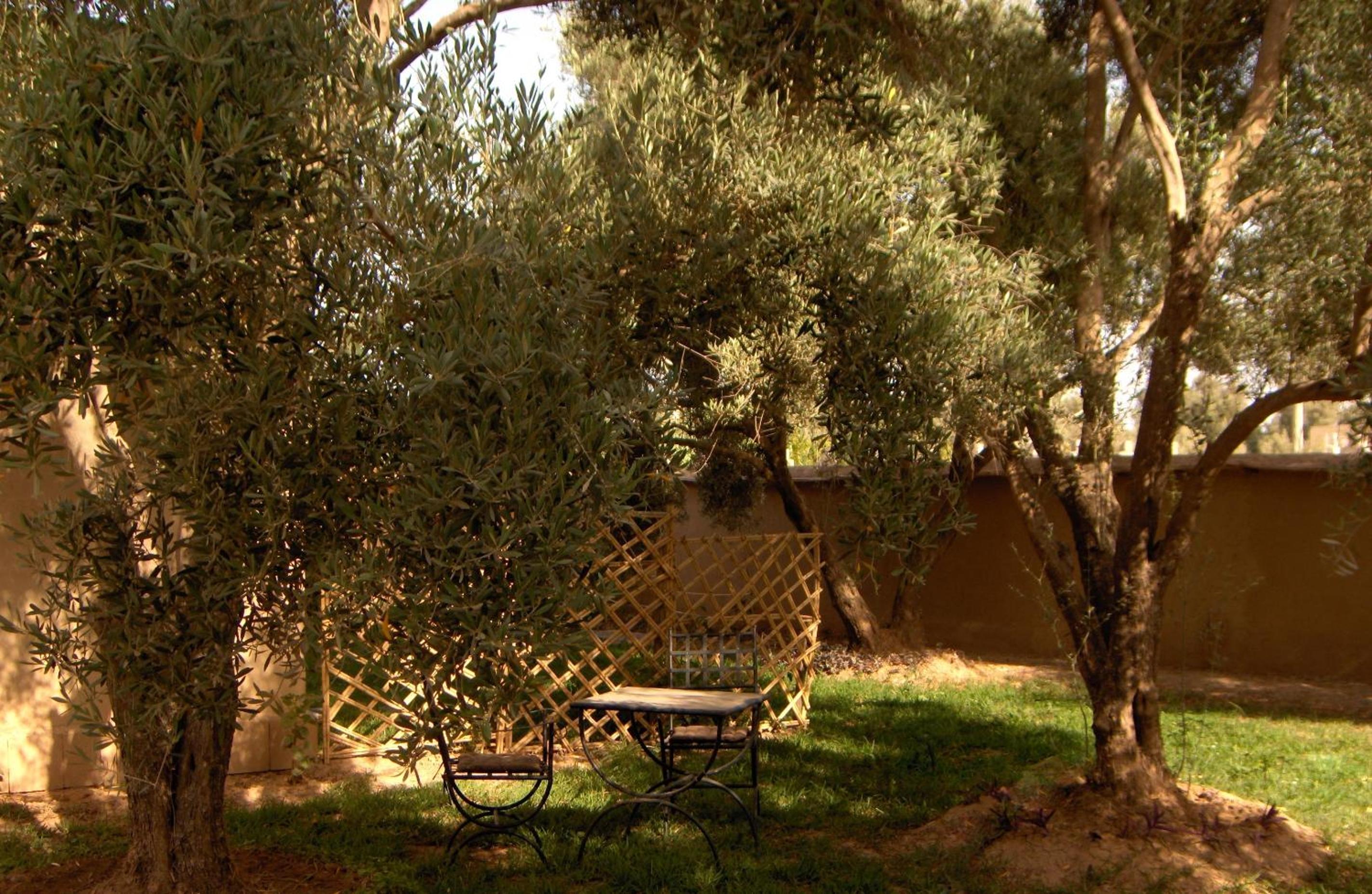 Photo 25