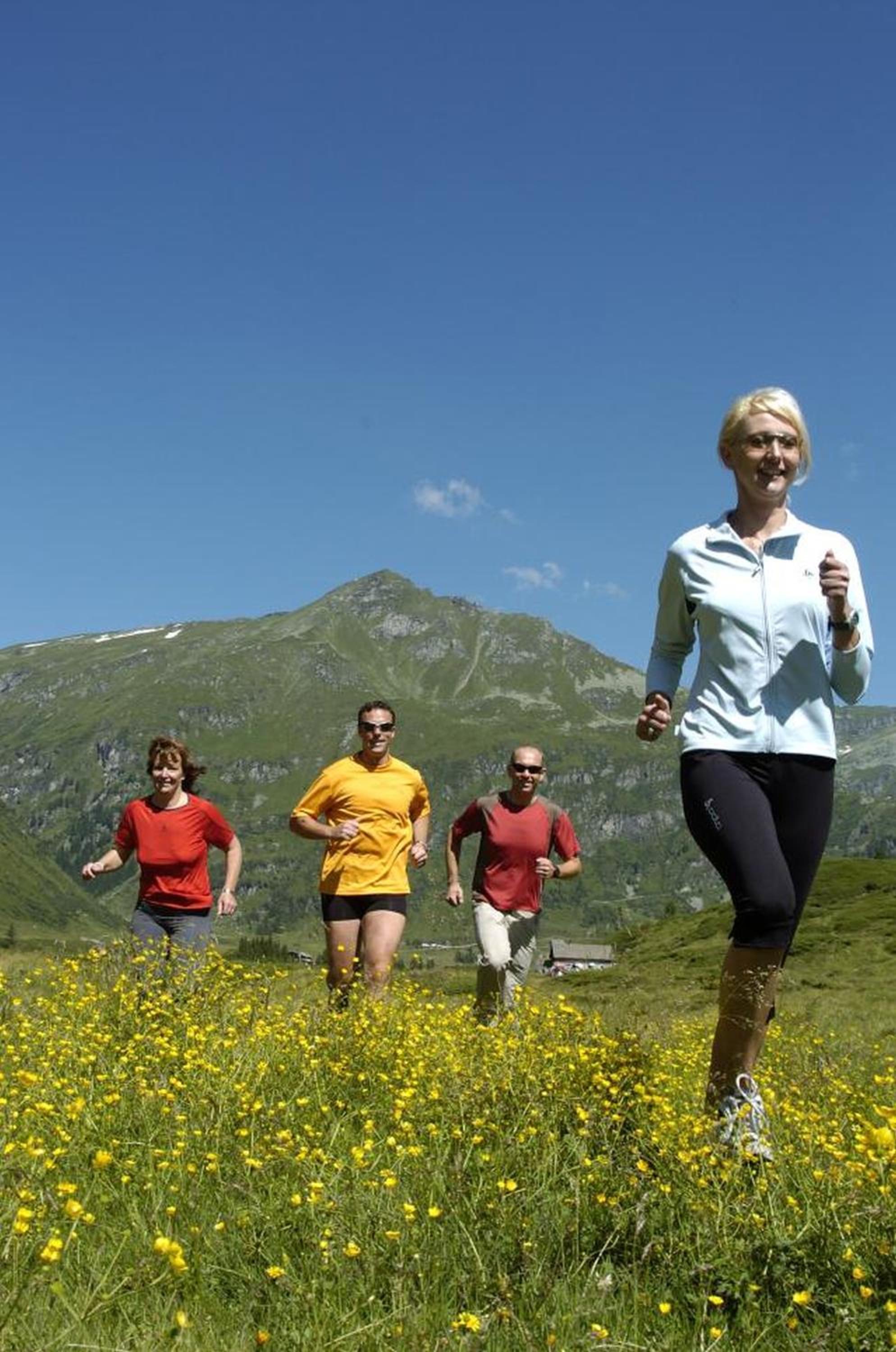 Ferienhaus Schiwiese mit freiem Eintritt in die Alpentherme & freie Nutzung der Gasteiner Bergbahnen im Sommer 2026