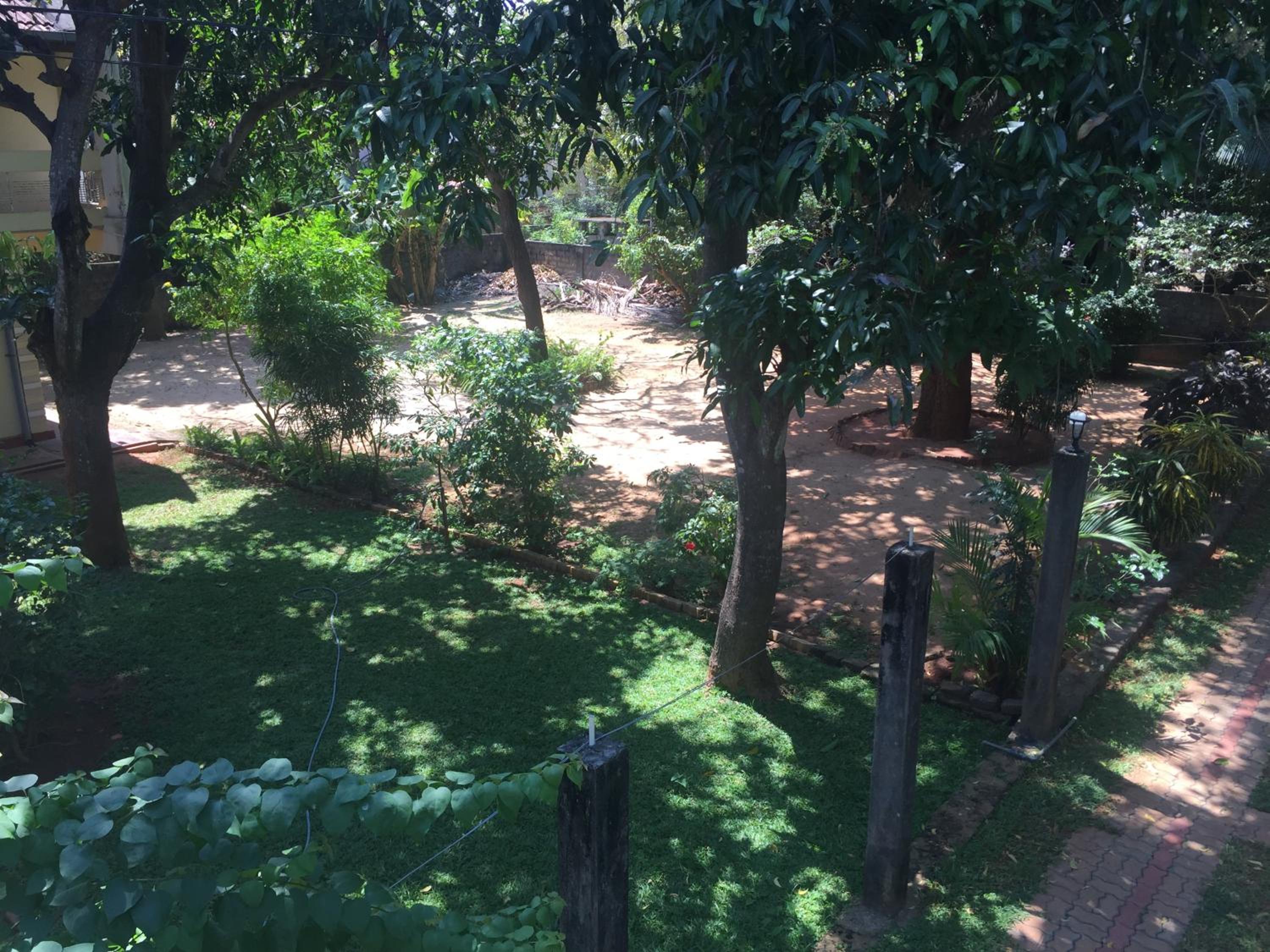 Photo 39
