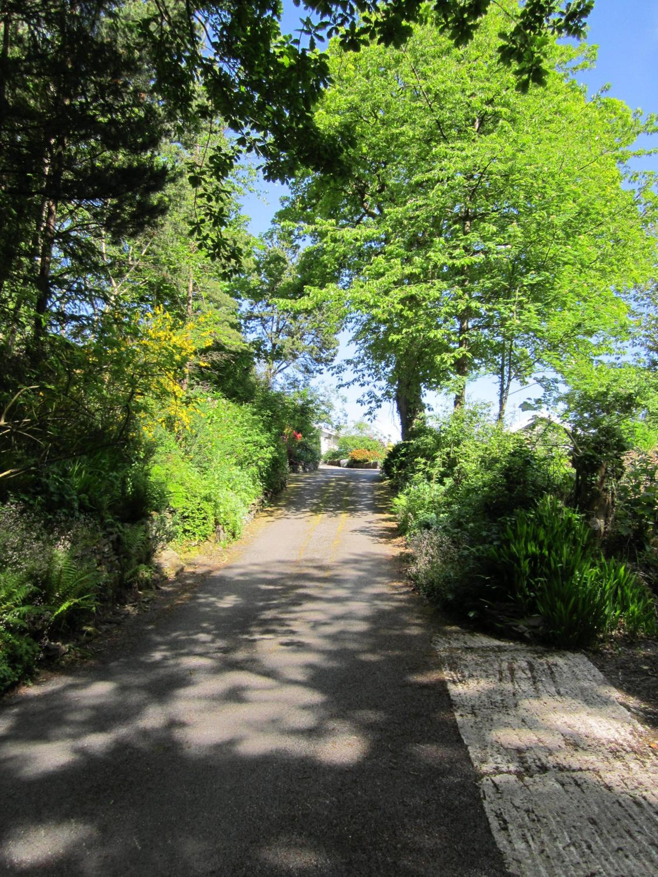 Photo 40
