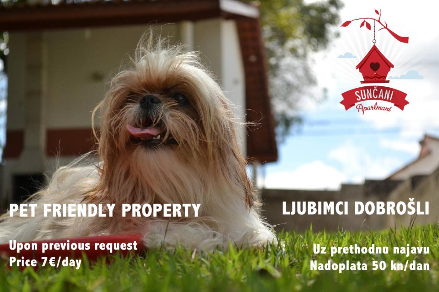 Apartments Suncani