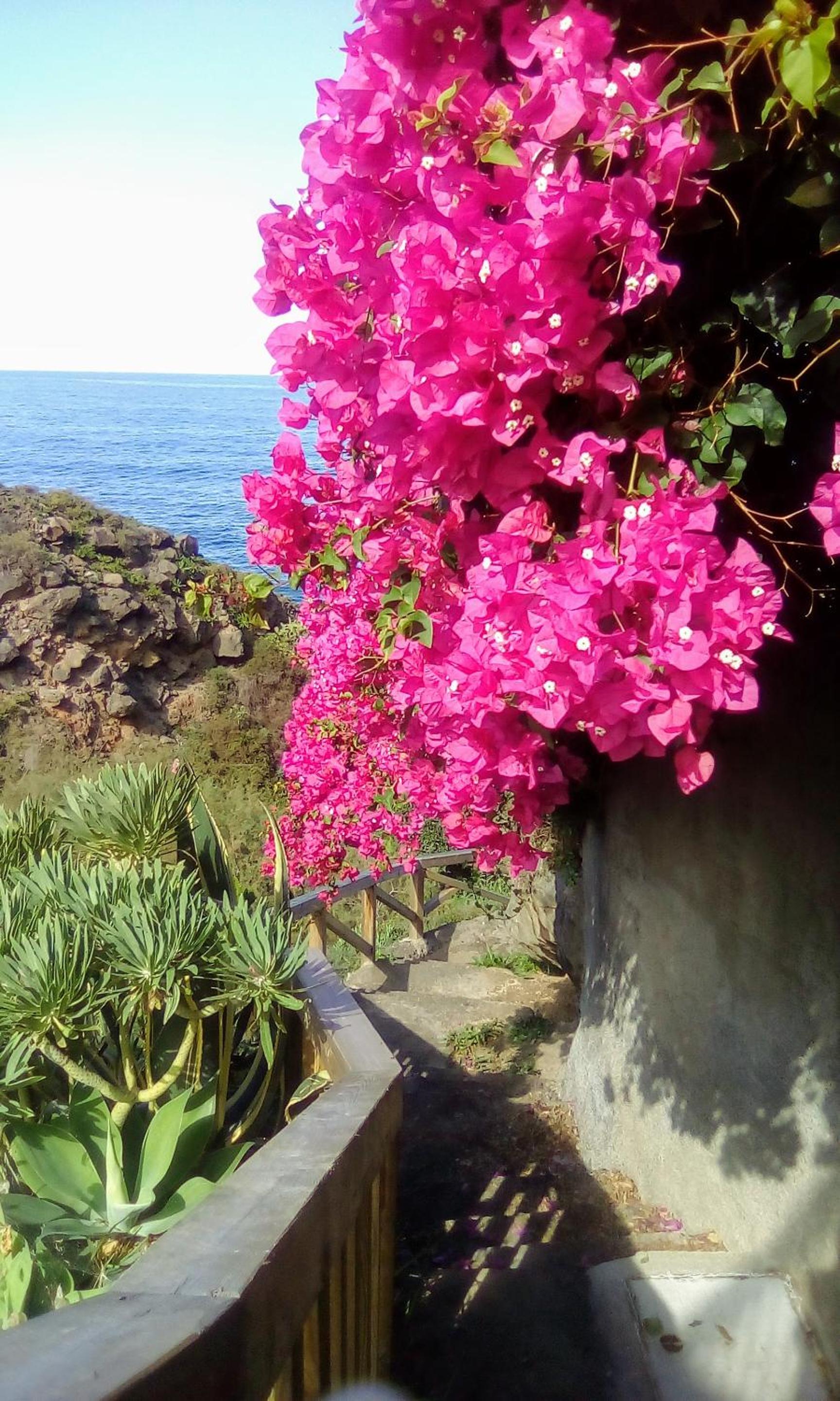 La Pardela Oceanfront view 5
