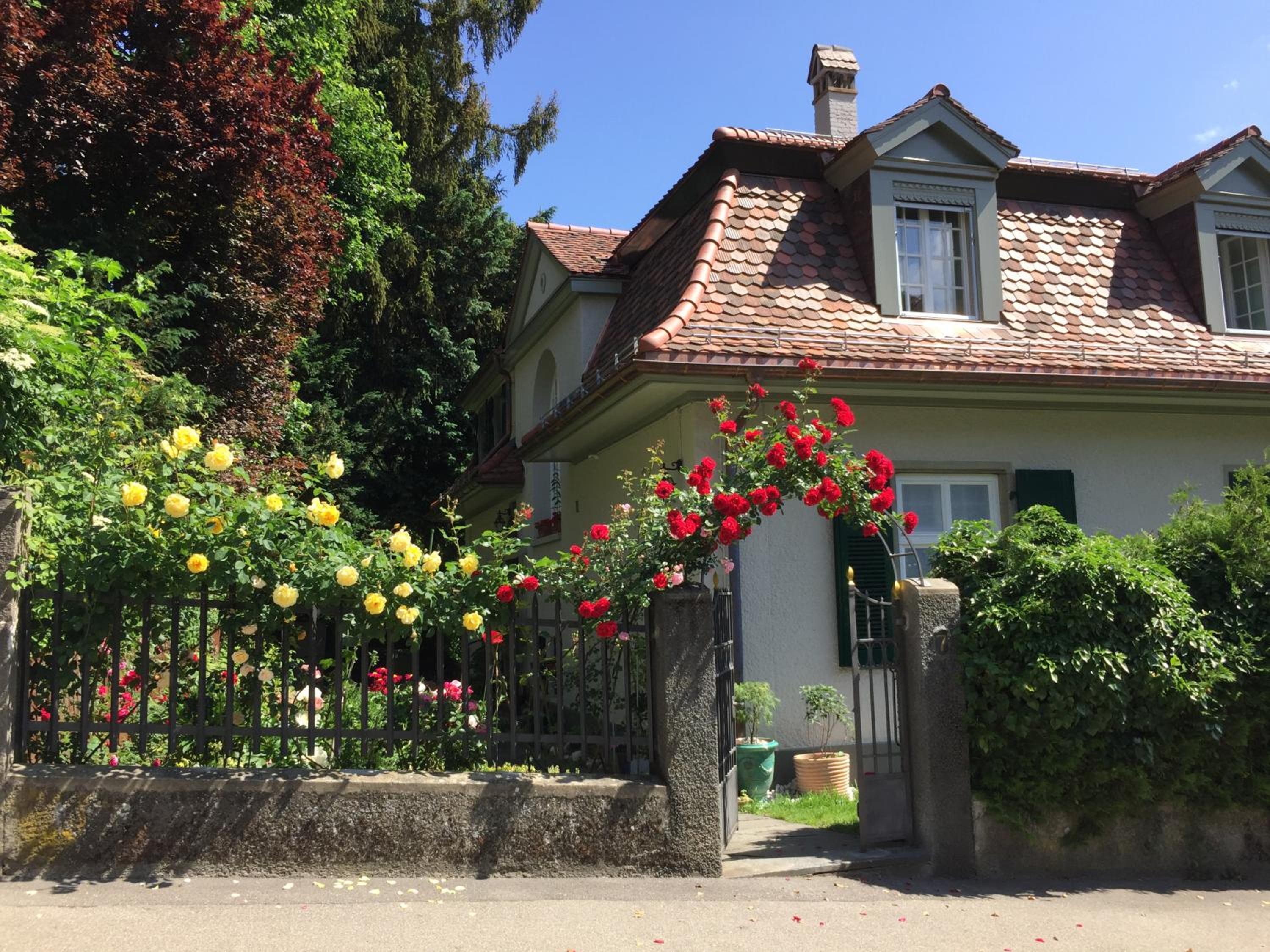 Bed and Breakfast Wildrose